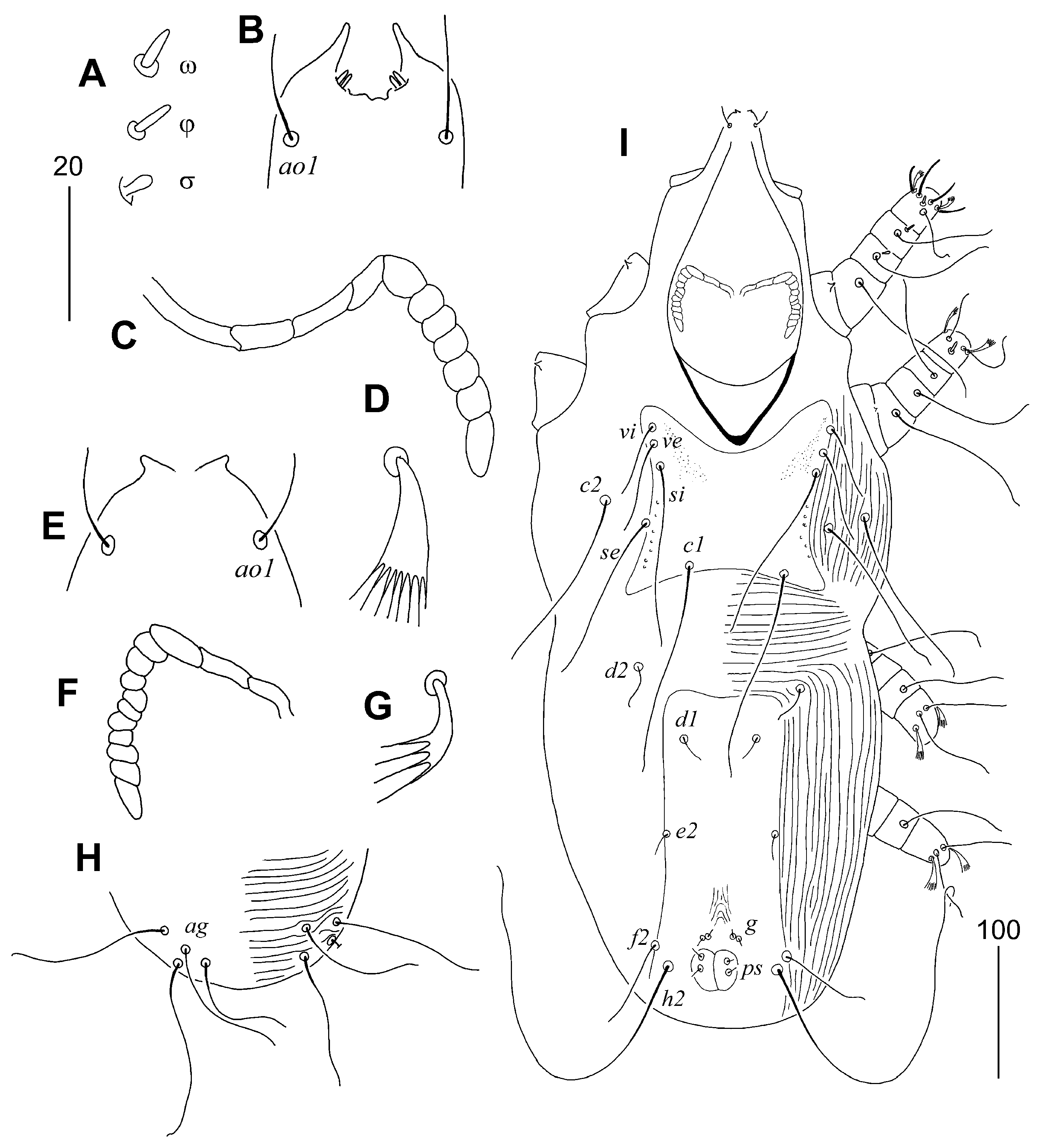 Animals 15 03227 g006