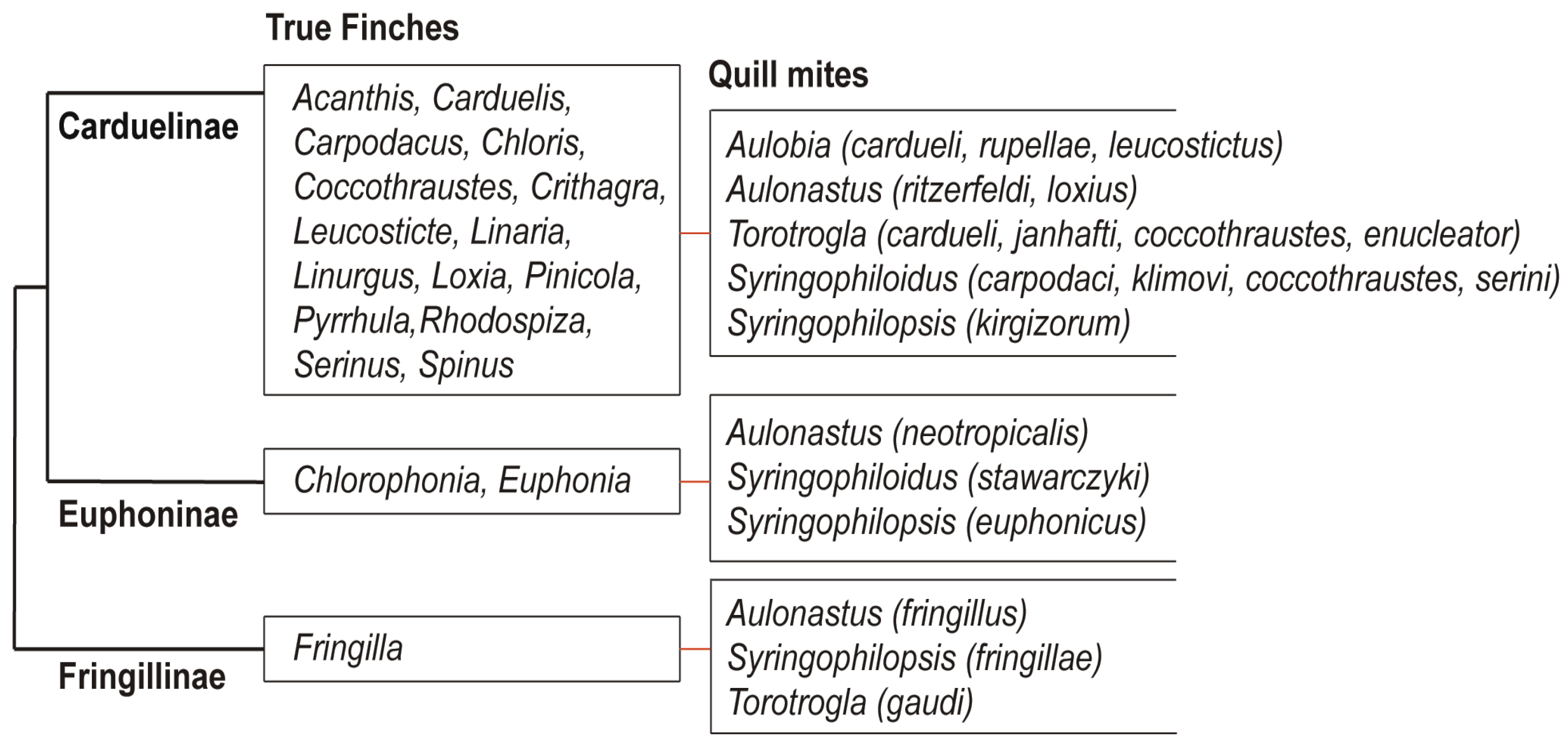 Animals 15 03227 g008