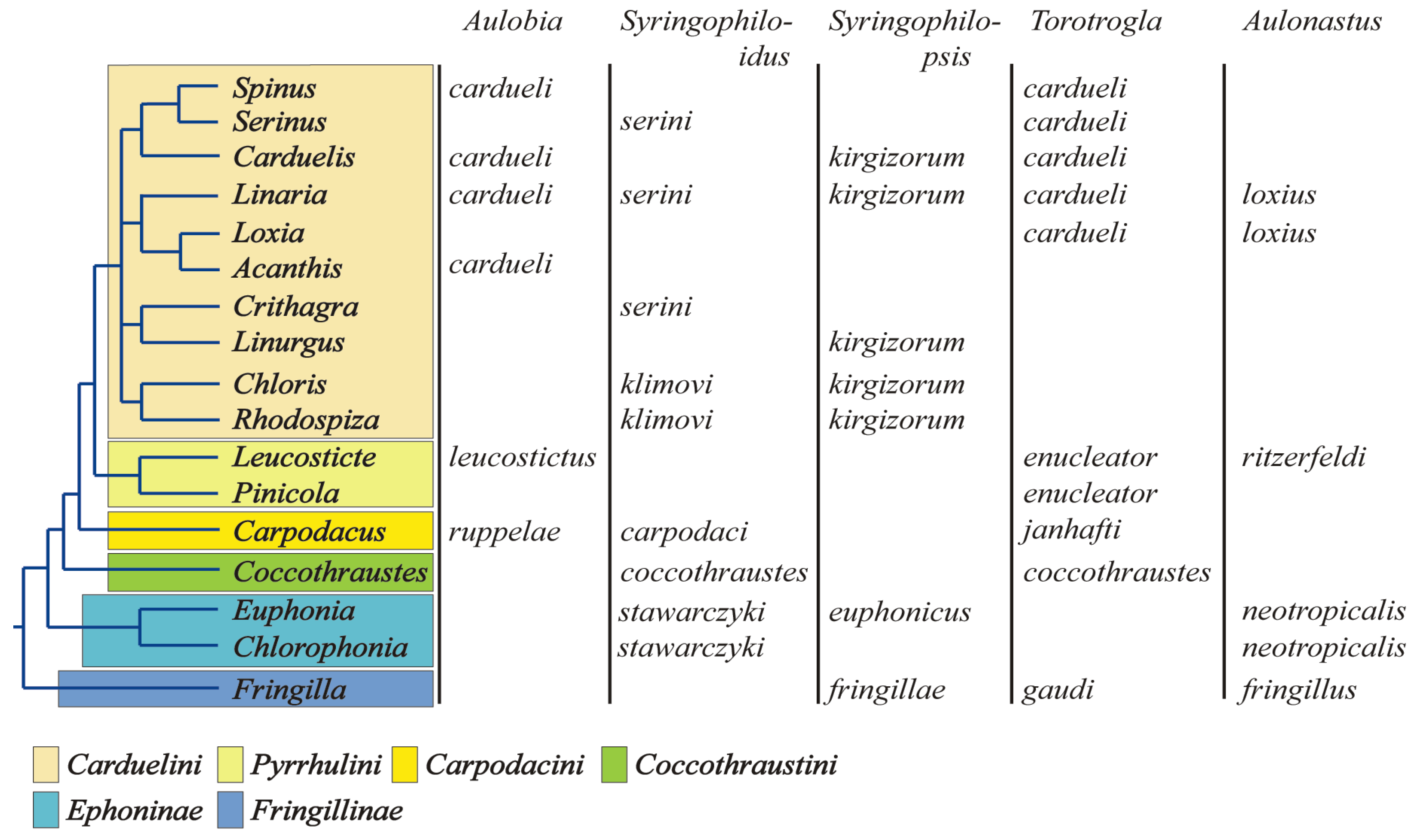 Animals 15 03227 g009