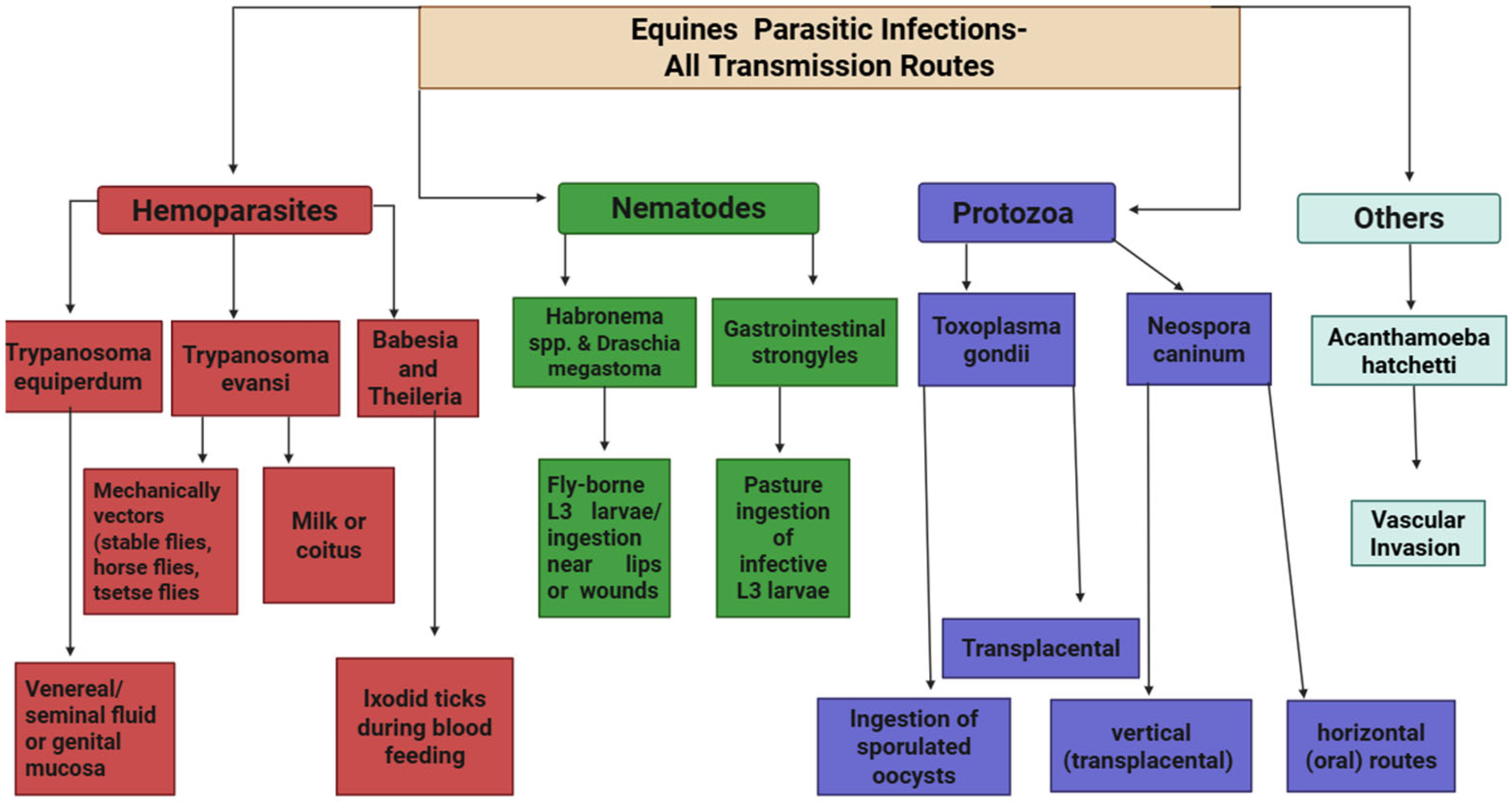 Animals 15 03294 g001