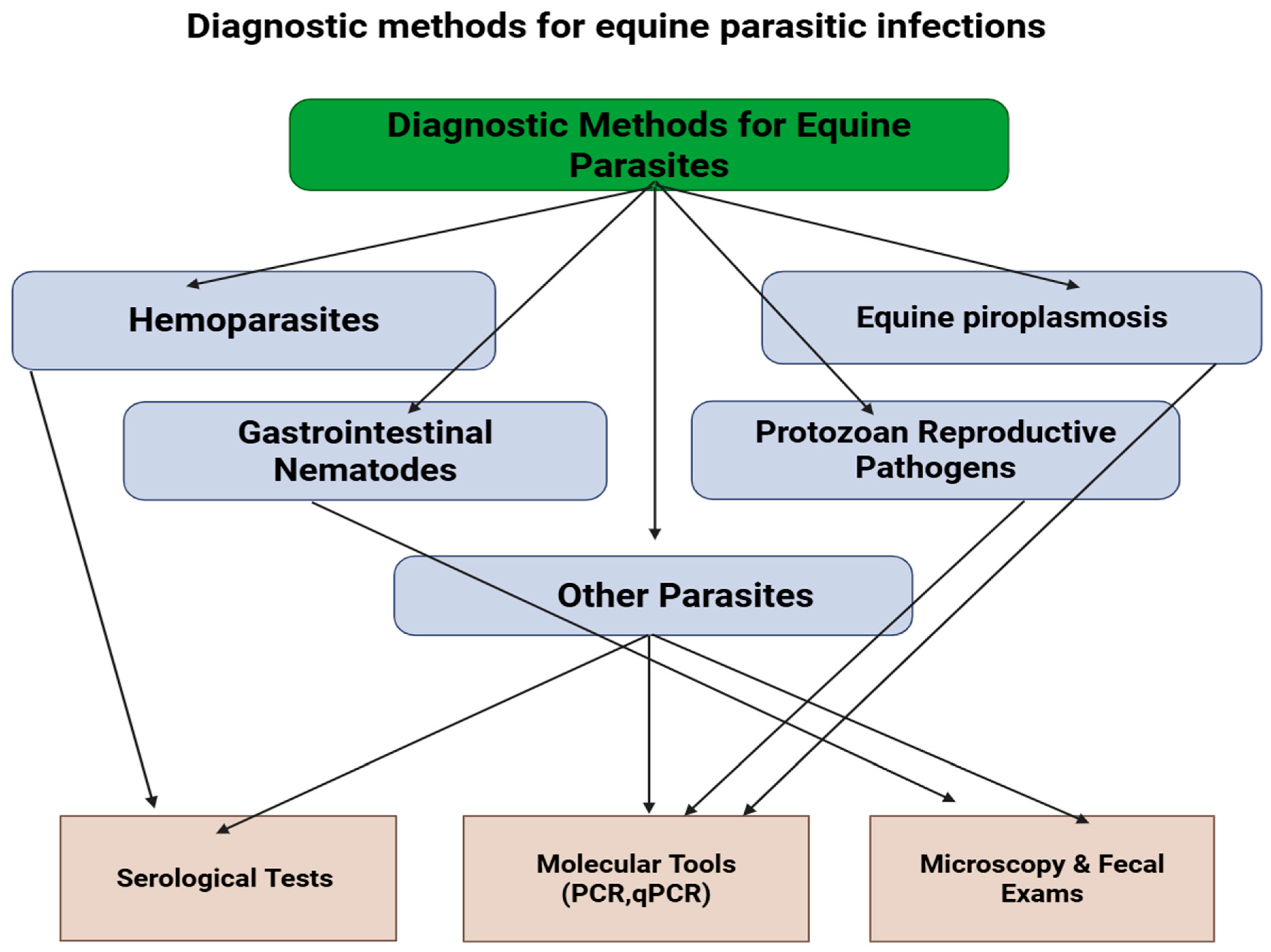 Animals 15 03294 g002