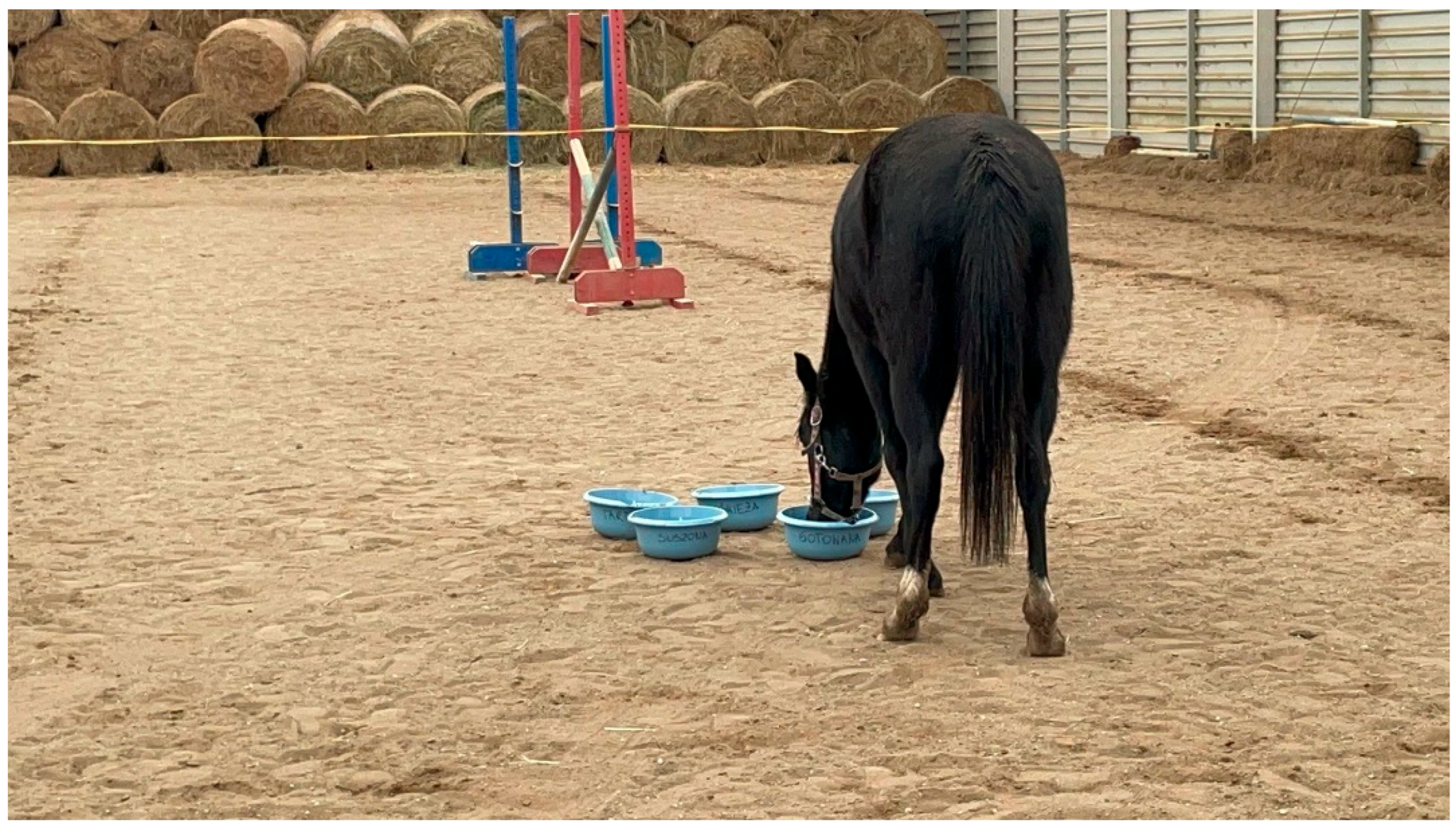 Animals 15 03385 g002 Animals 15 03385 g002