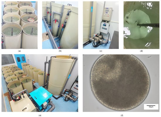 Animals 15 03407 g0a1