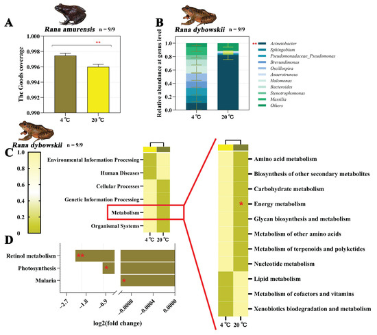 Animals 15 03604 g003