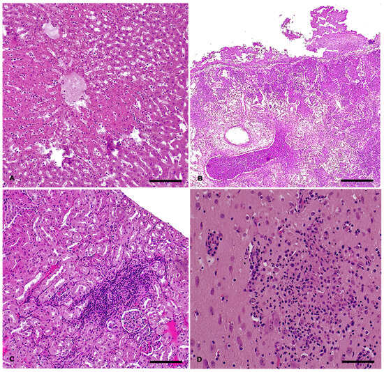 Animals 15 03642 g003