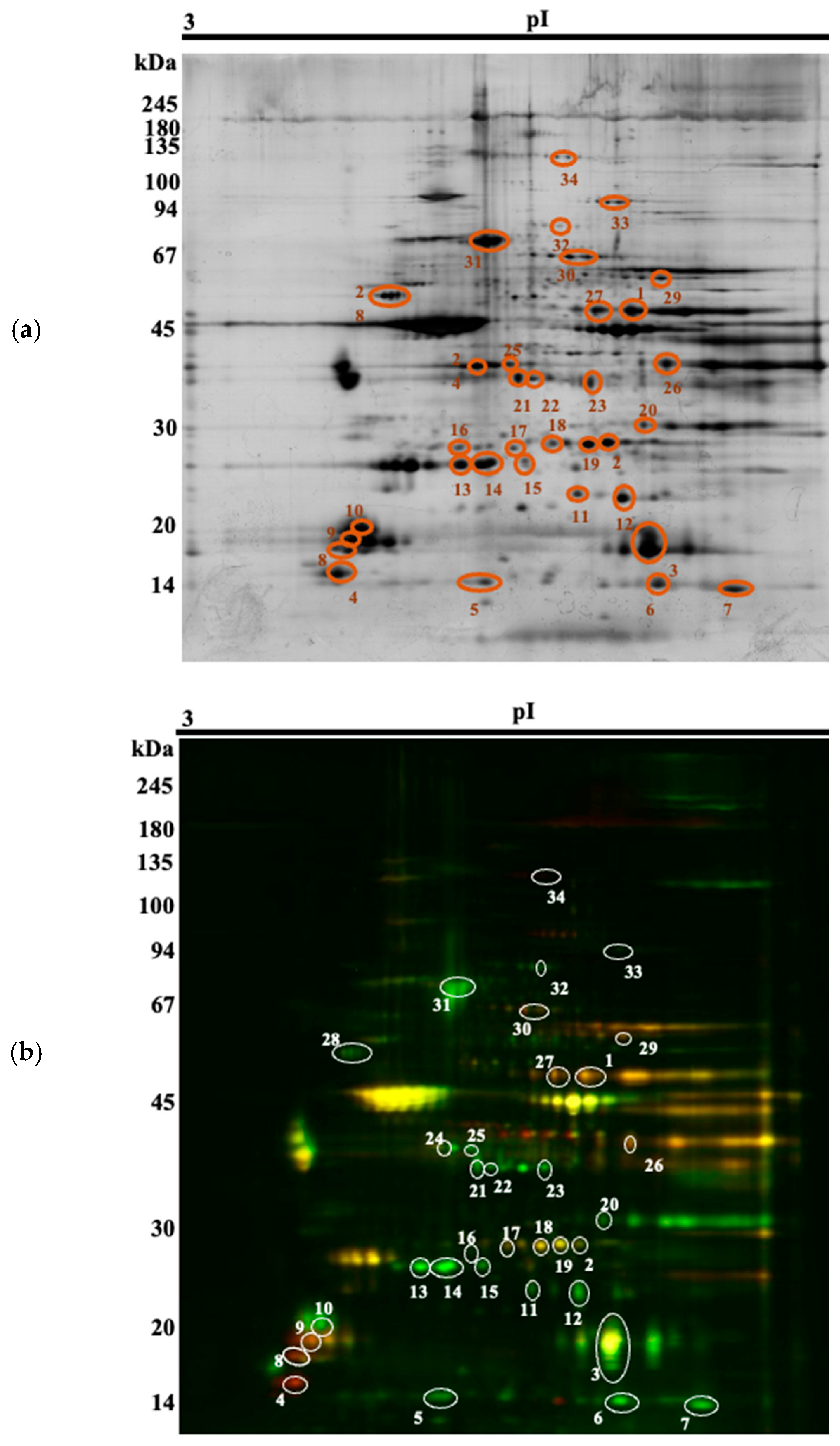 Animals 16 00005 g001