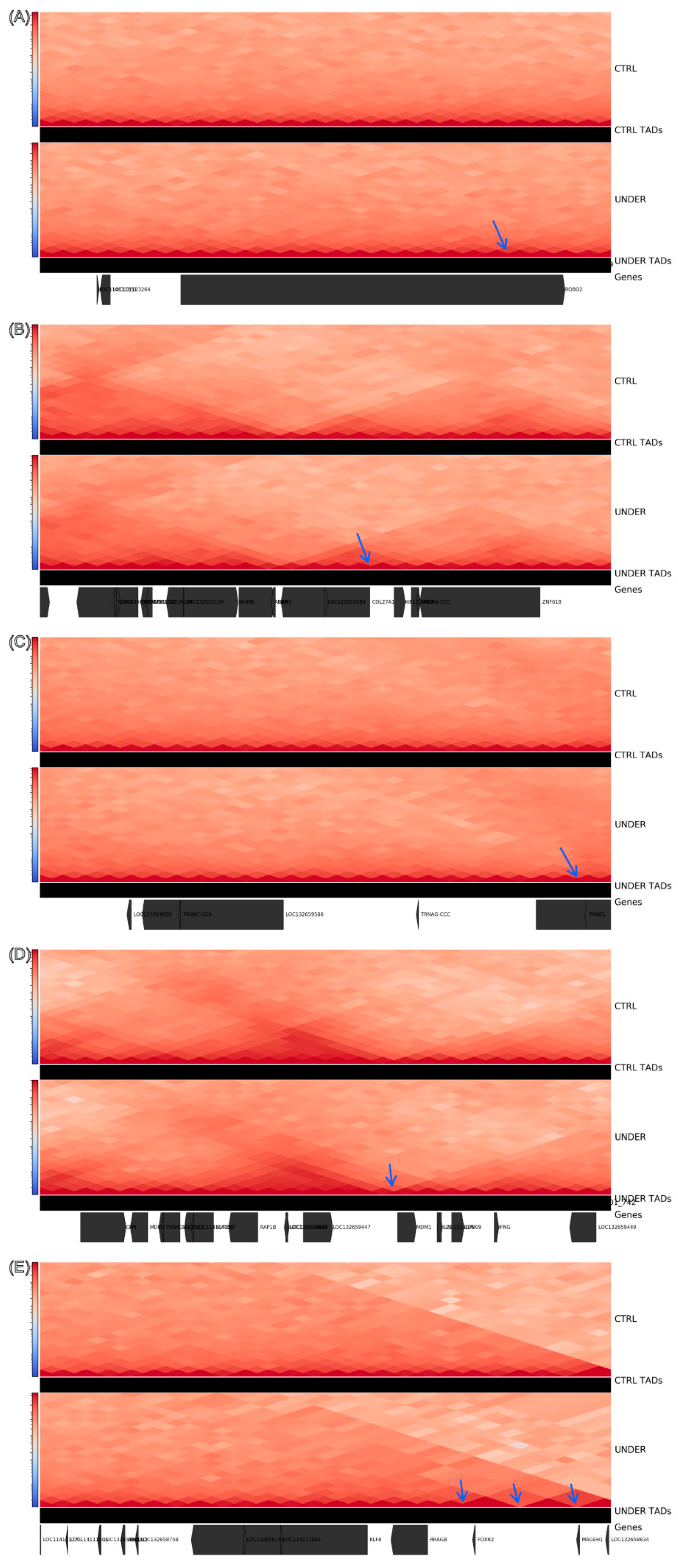 Animals 16 00039 g004