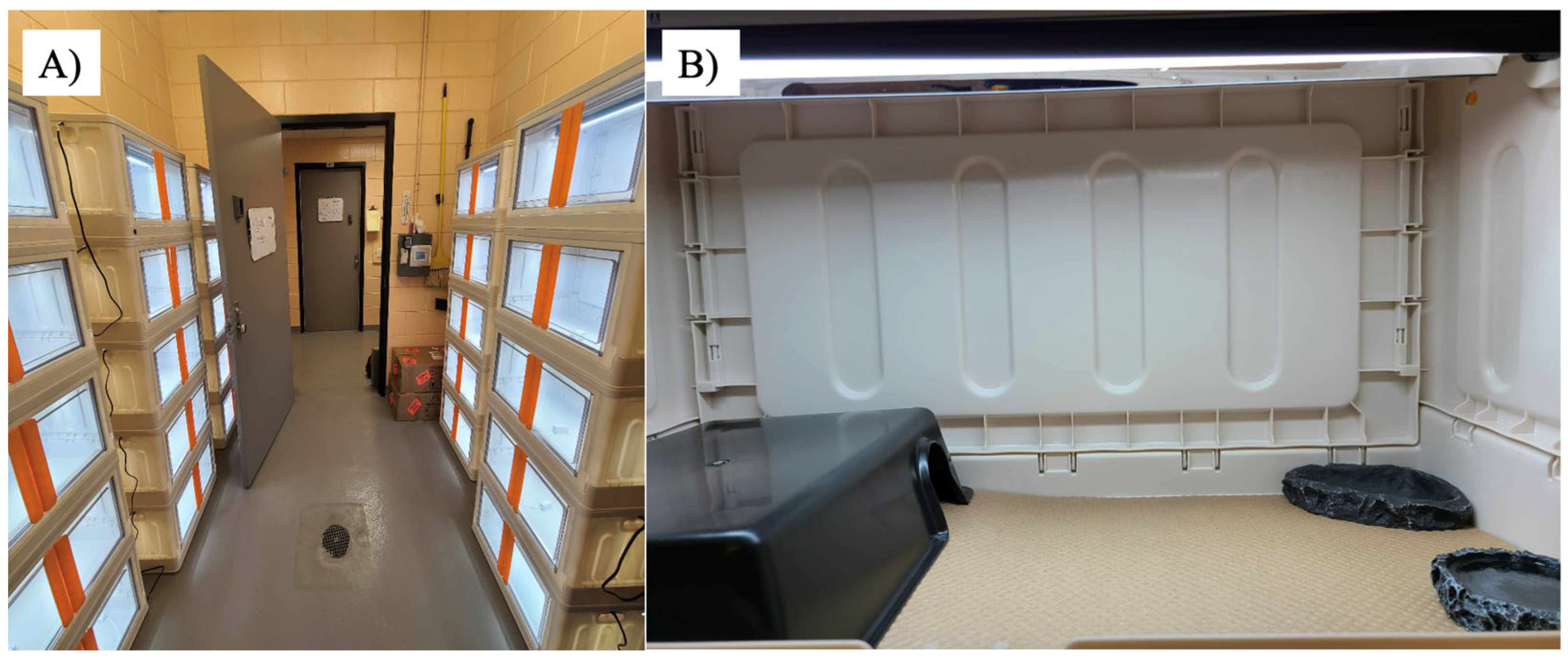 Animals 16 00048 g001 Animals 16 00048 g001