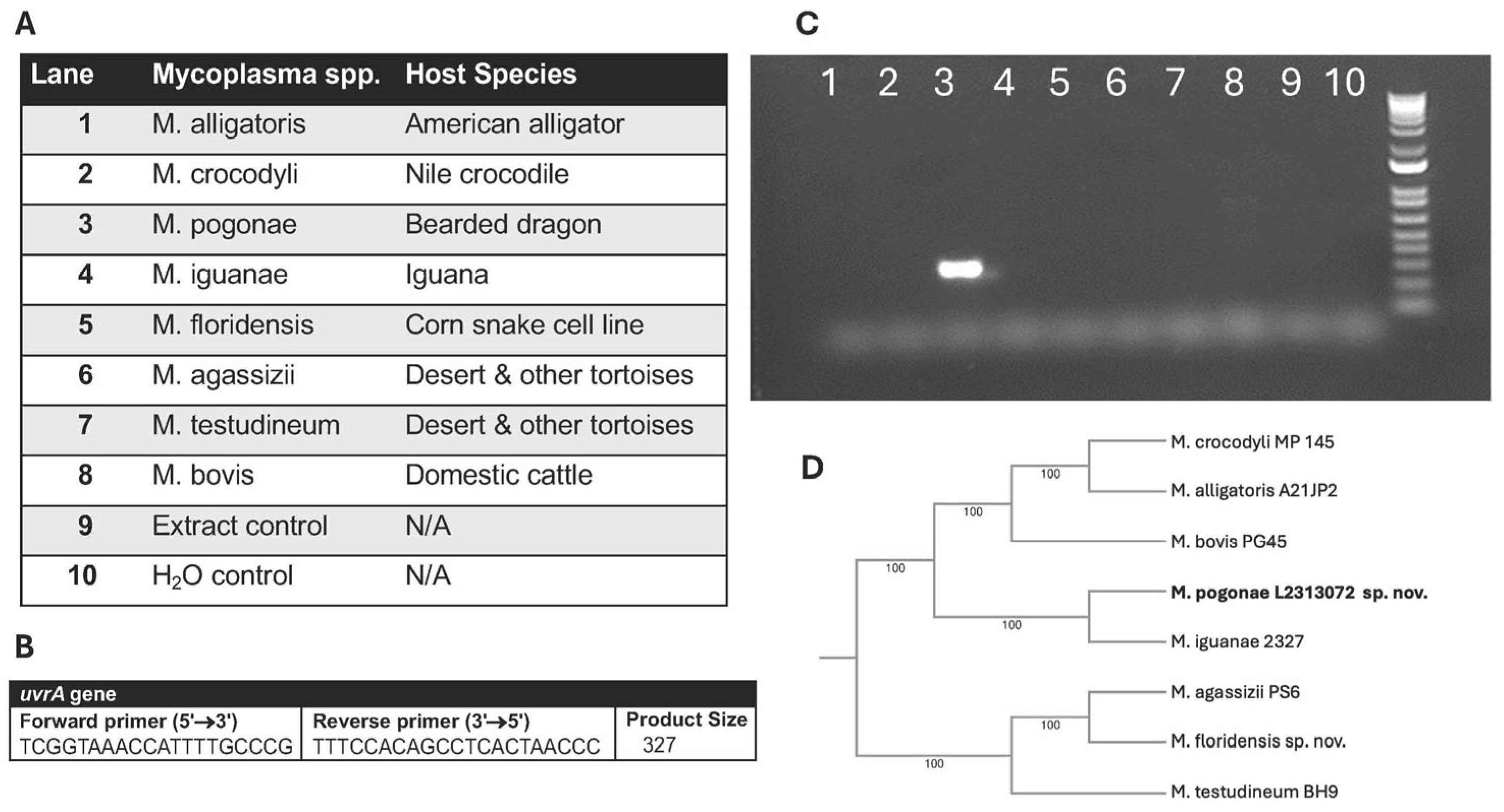 Animals 16 00048 g002 Animals 16 00048 g002