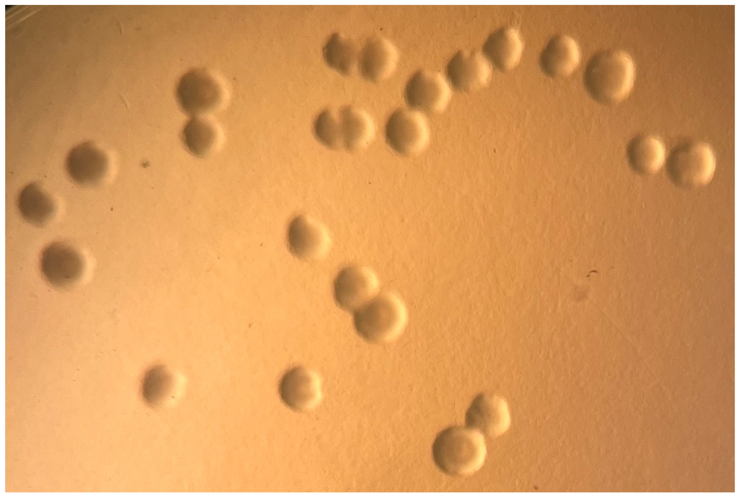 Animals 16 00048 g004 Animals 16 00048 g004