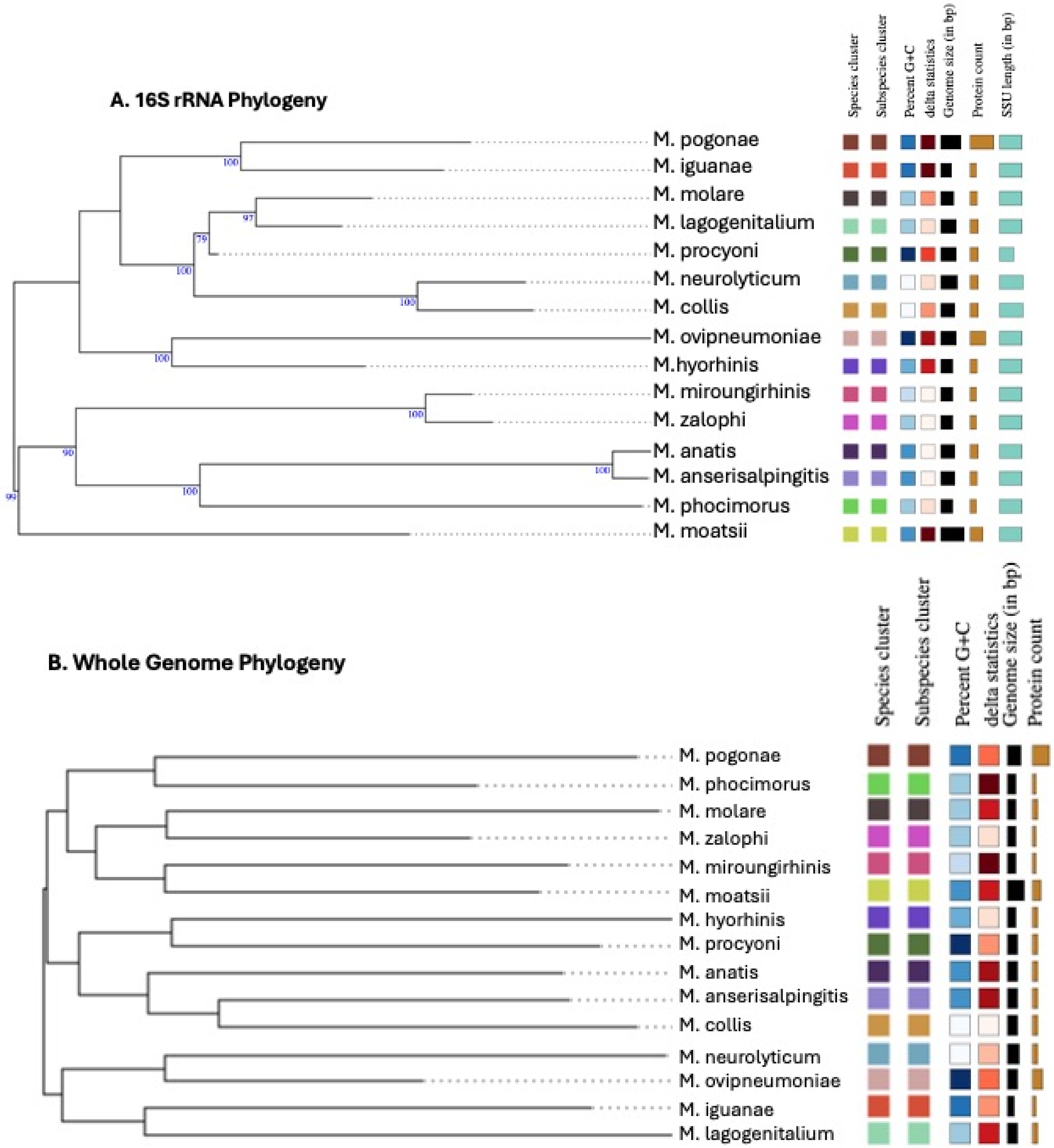 Animals 16 00048 g006 Animals 16 00048 g006