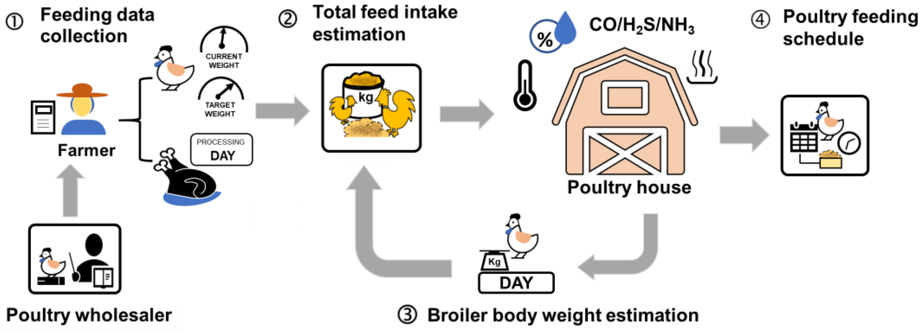 Animals 16 00075 g001