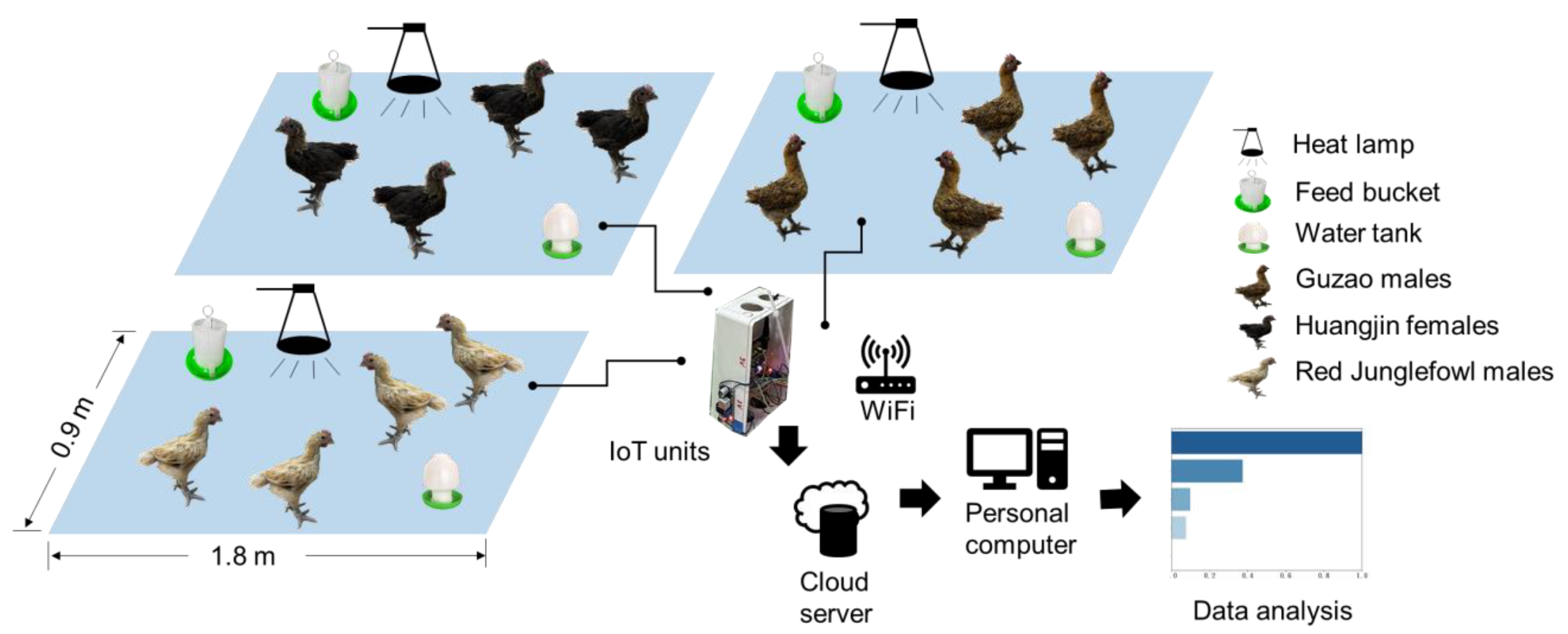 Animals 16 00075 g007