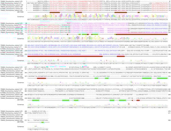 Sequence alignment (by Clustal Omega) between TRIM-like proteins found in RTgill-W1 cells. The main domains of the RBCC motif are highlighted in colours: RING = orange; B-box 1 = red; B-box 2 = purple; coiled-coil = blue.