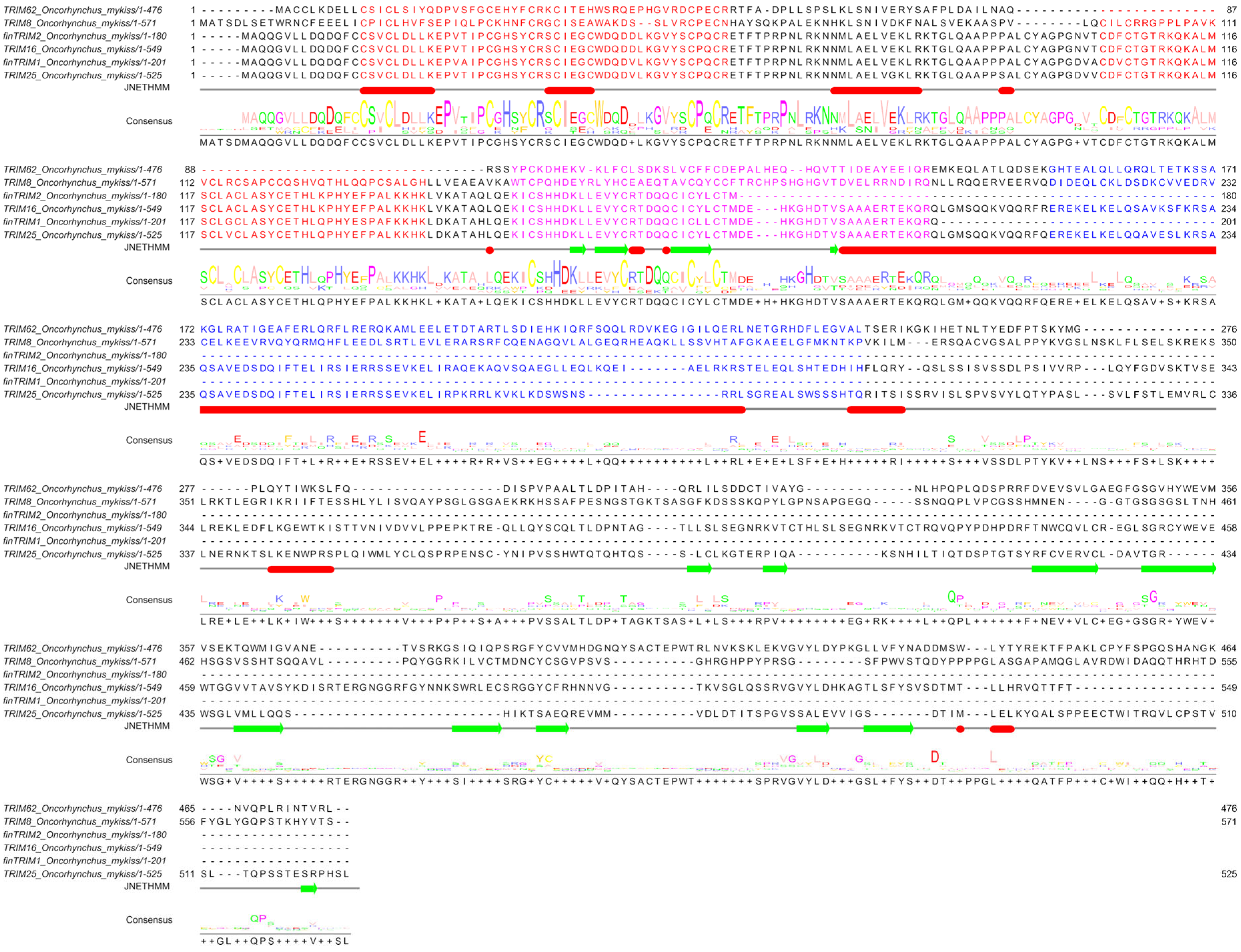 Animals 16 00076 g001