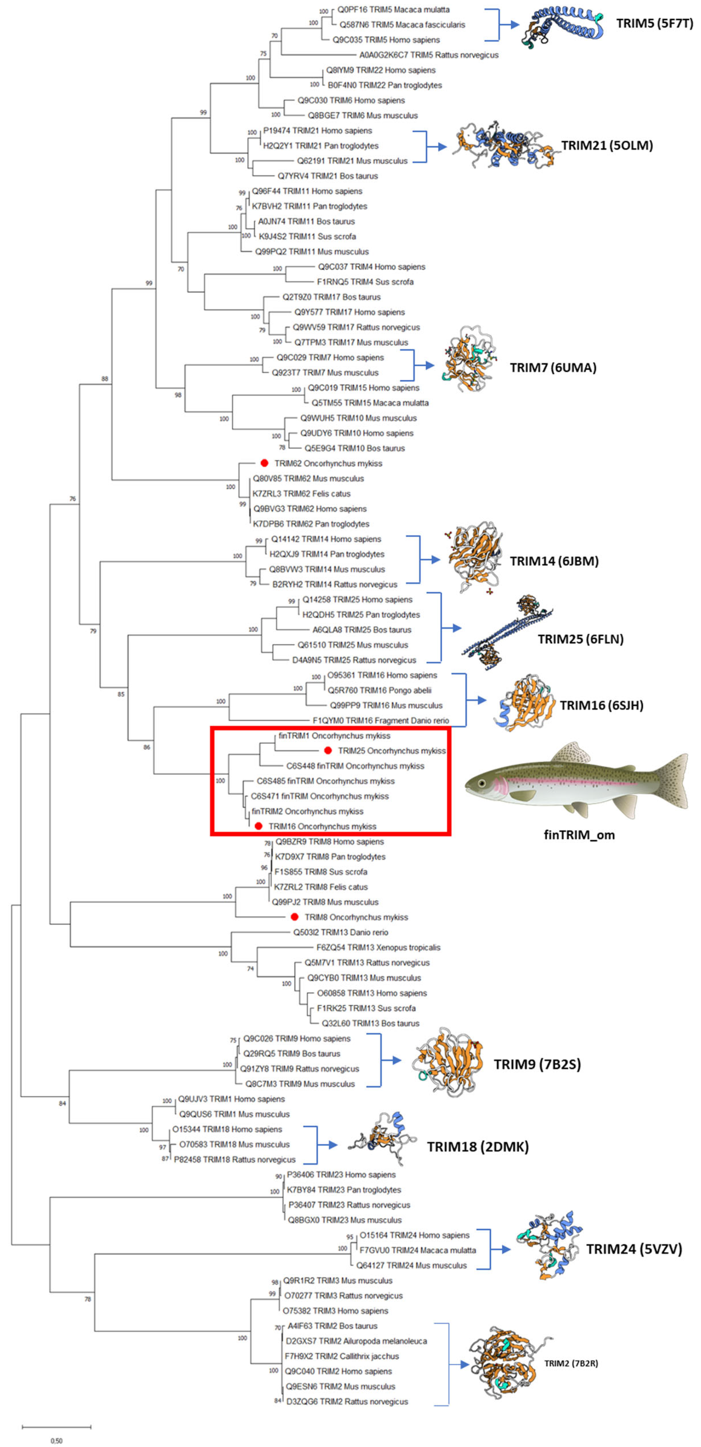 Animals 16 00076 g002