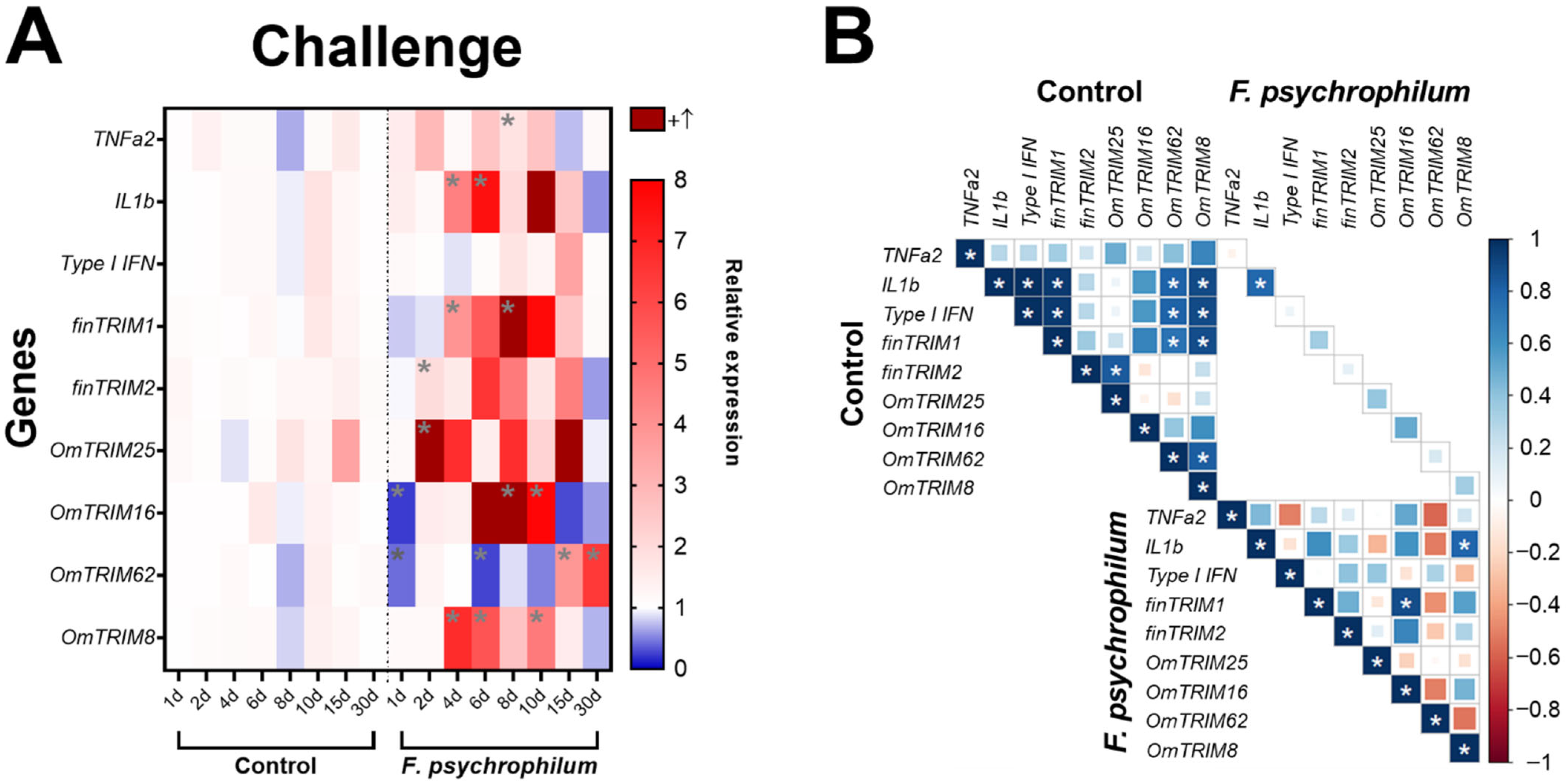 Animals 16 00076 g005