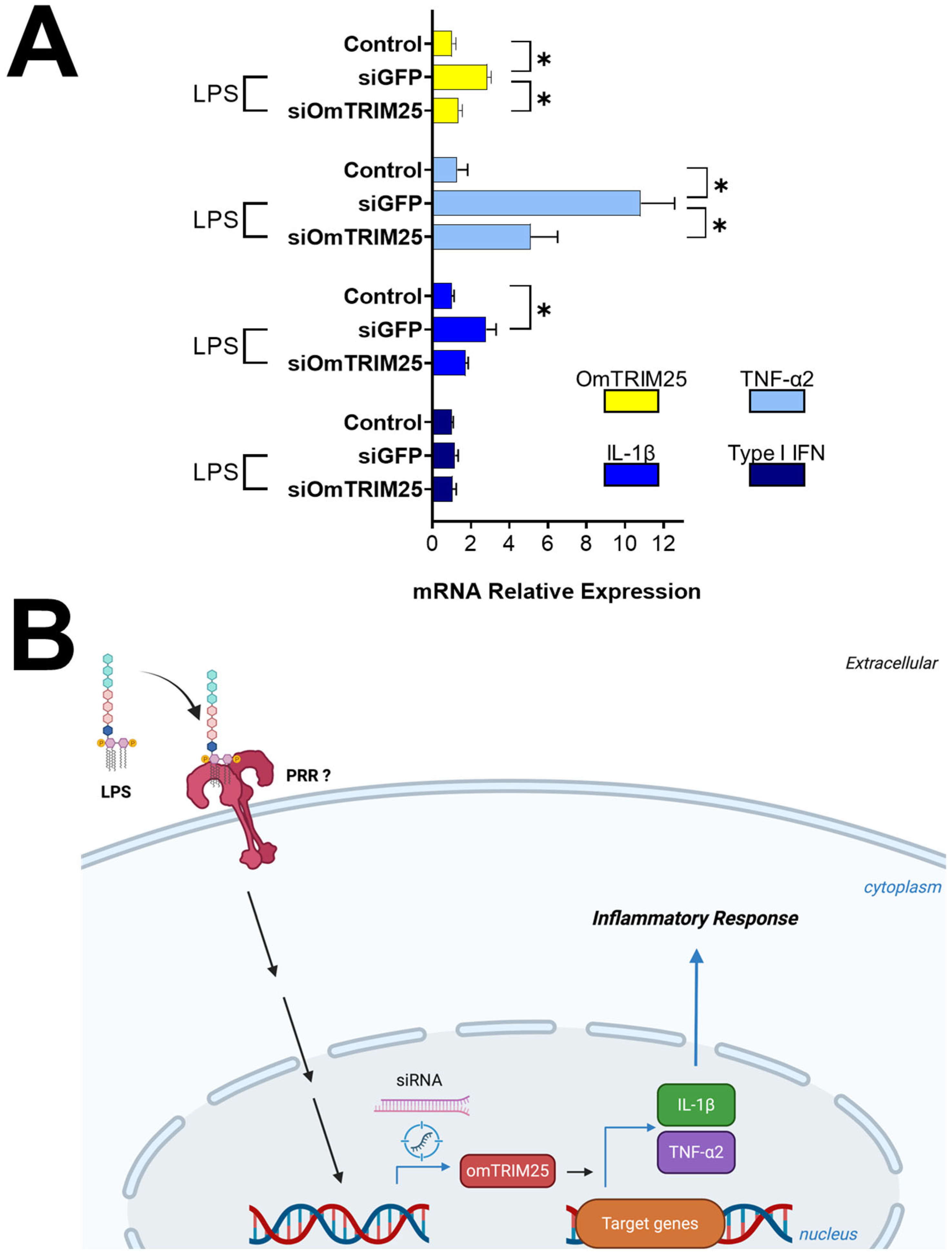 Animals 16 00076 g006