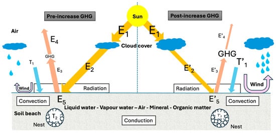 Schematic representation of the main energy transfer processes on a nesting beach before and after the increase in greenhouse gases (GHGs) due to human activity. Arrows indicate the direction of energy transfer. Droplets represent evaporation driven by rising air temperature and more wind, which leads to increased cloud cover.