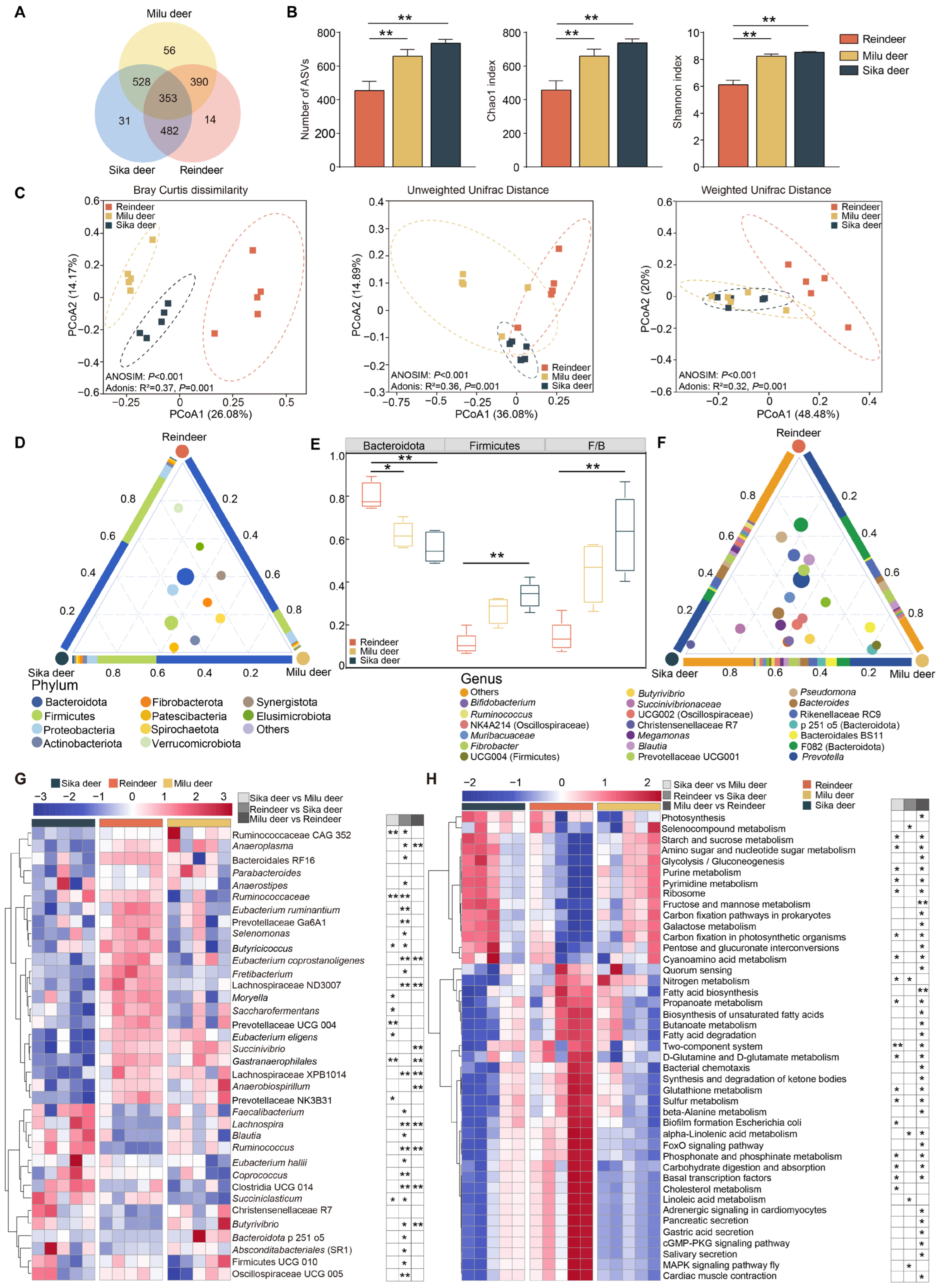 Animals 16 00116 g001