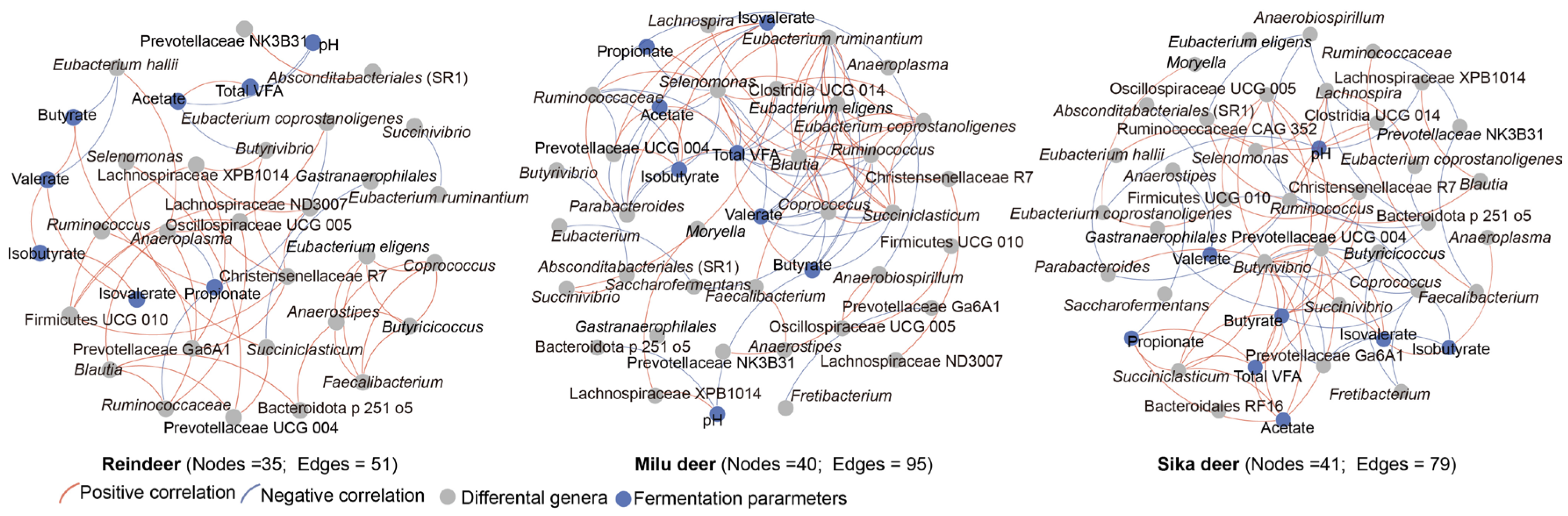 Animals 16 00116 g003