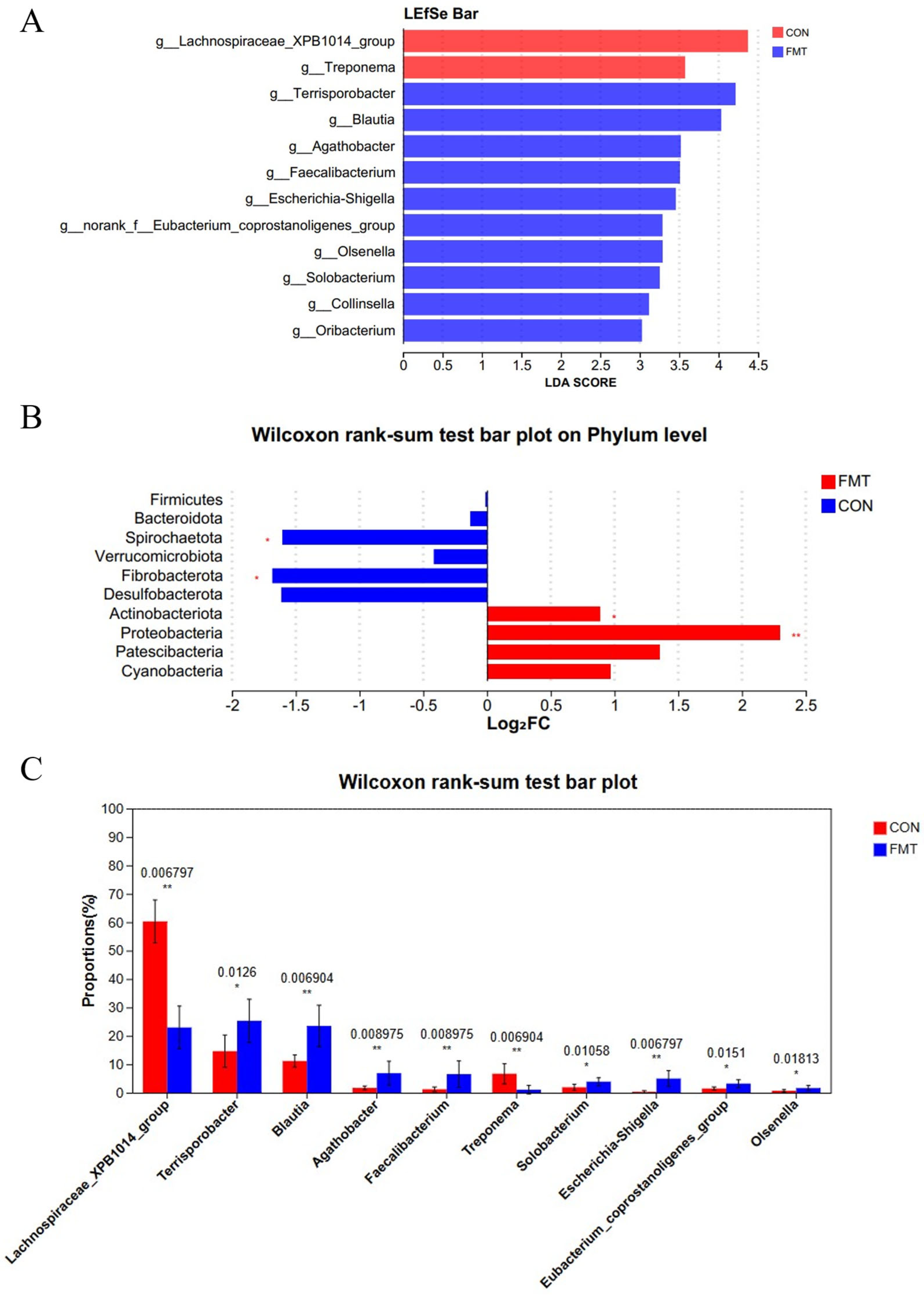 Animals 16 00177 g002