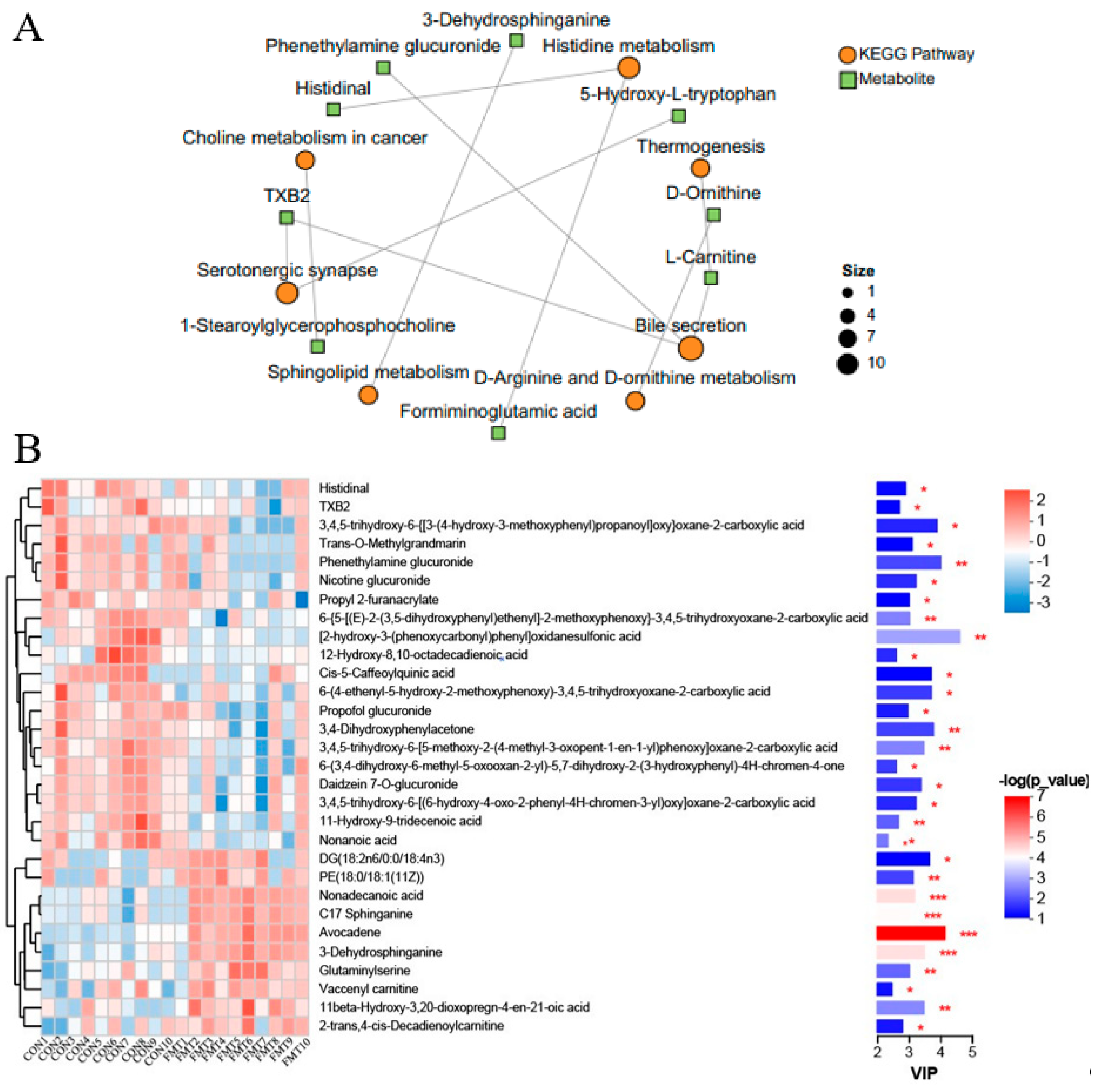 Animals 16 00177 g005