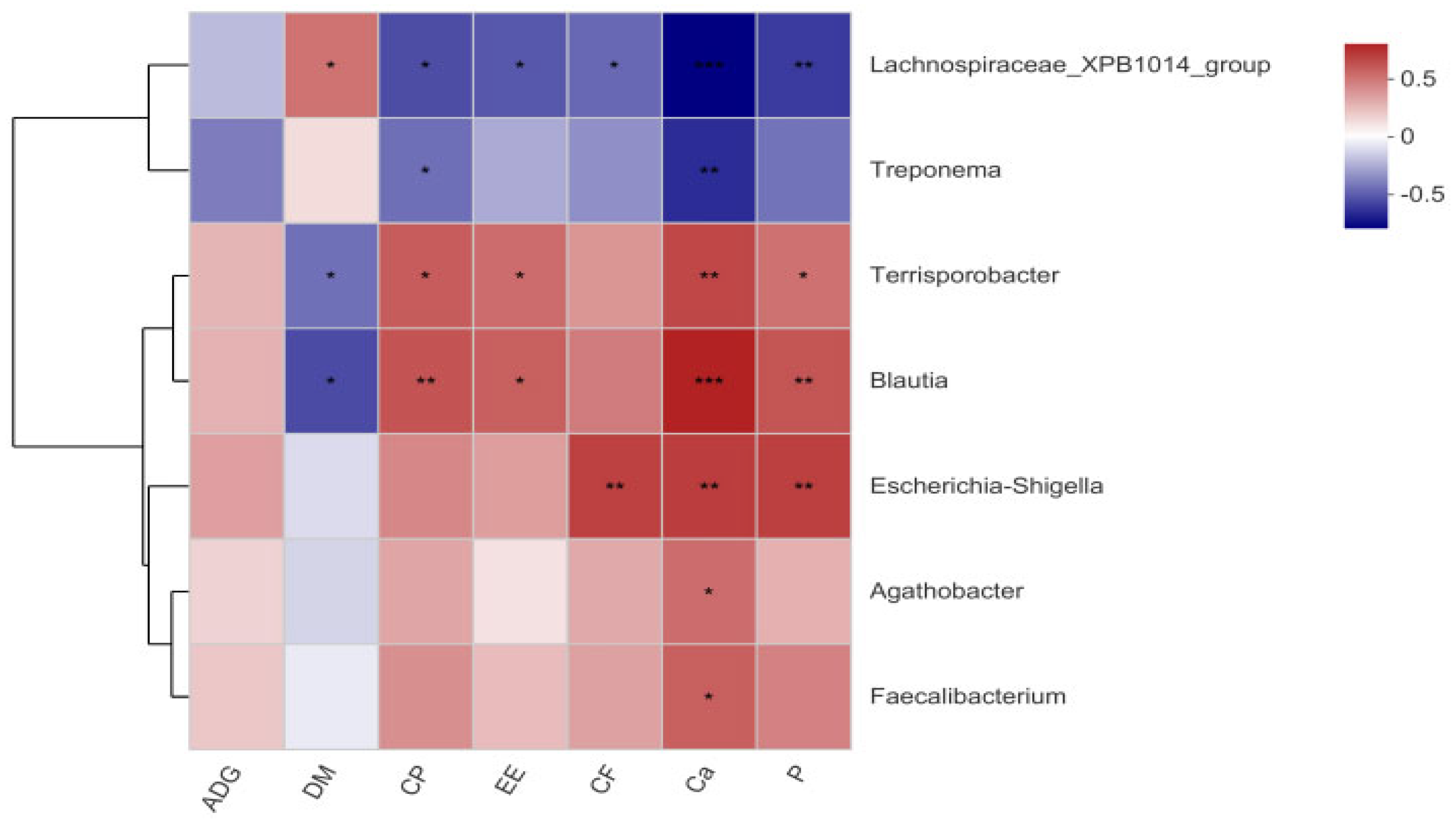 Animals 16 00177 g007