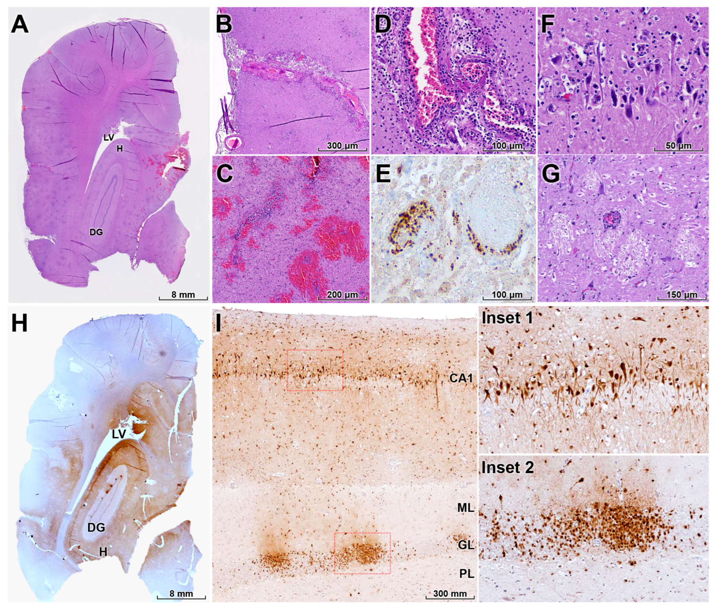Animals 16 00200 g004 Animals 16 00200 g004