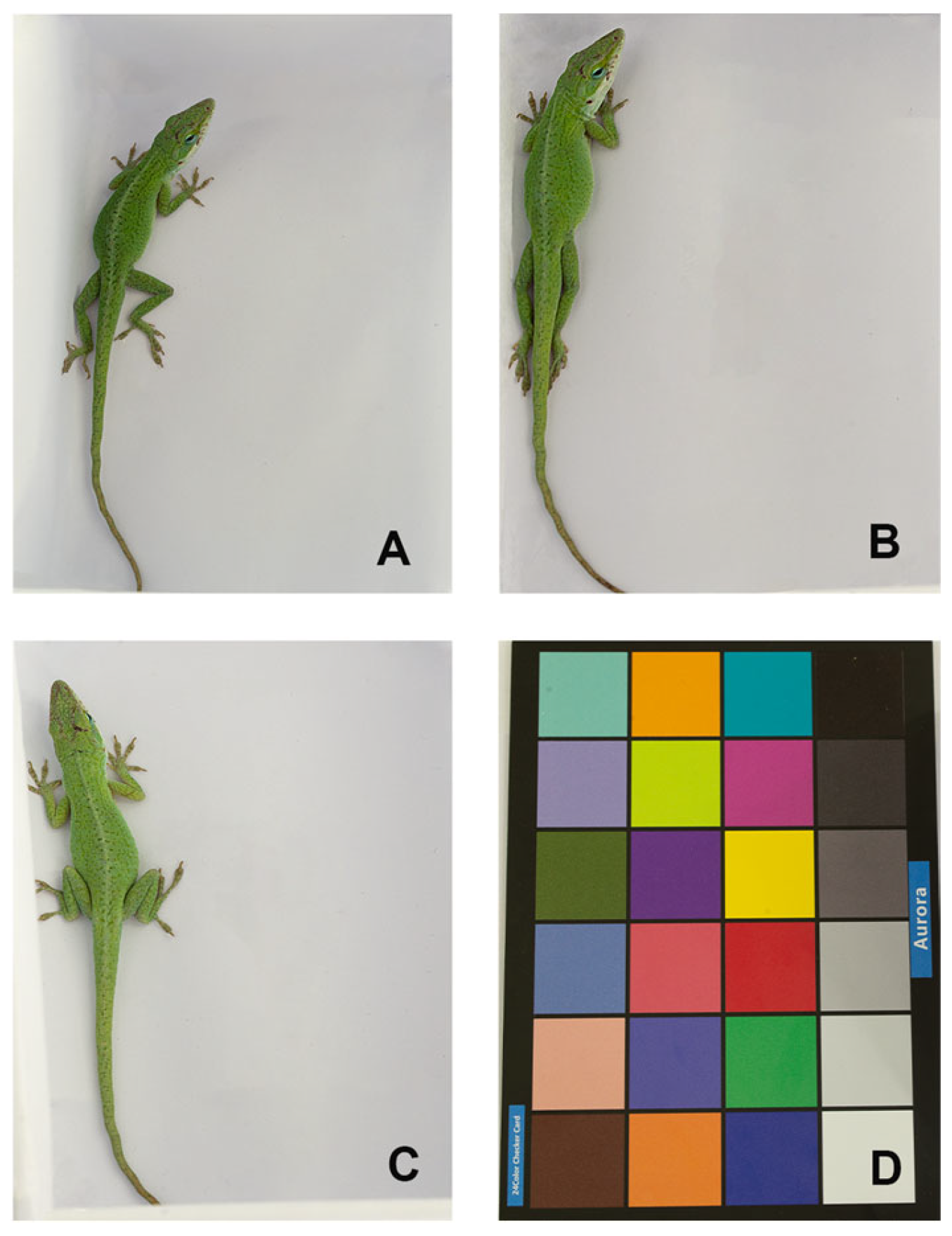 Animals 16 00203 g003