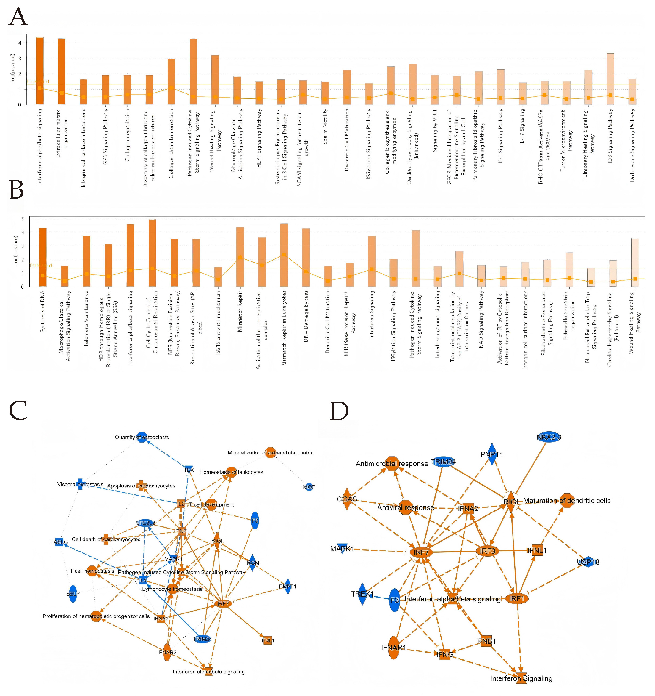 Animals 16 00243 g004