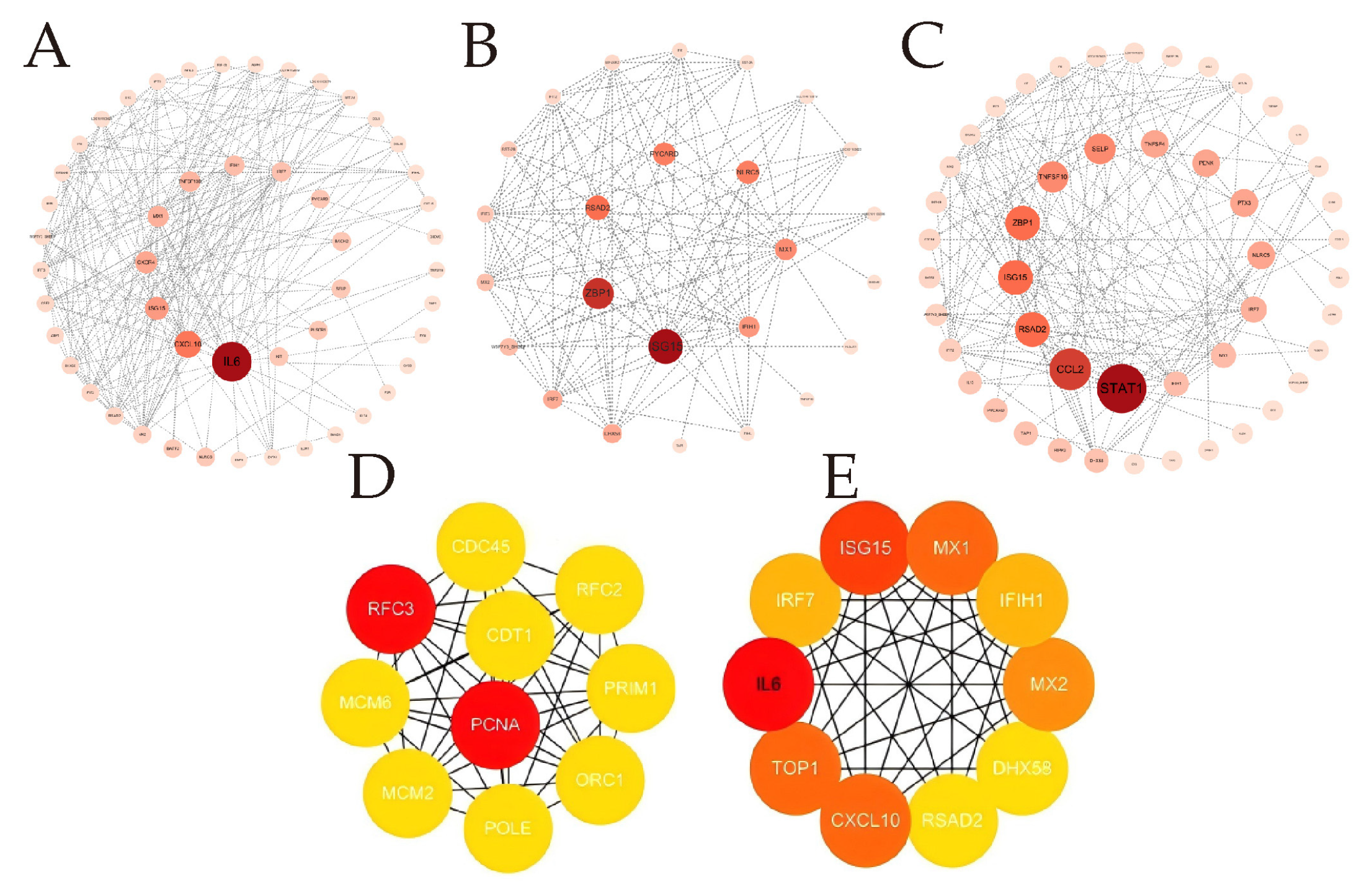 Animals 16 00243 g005