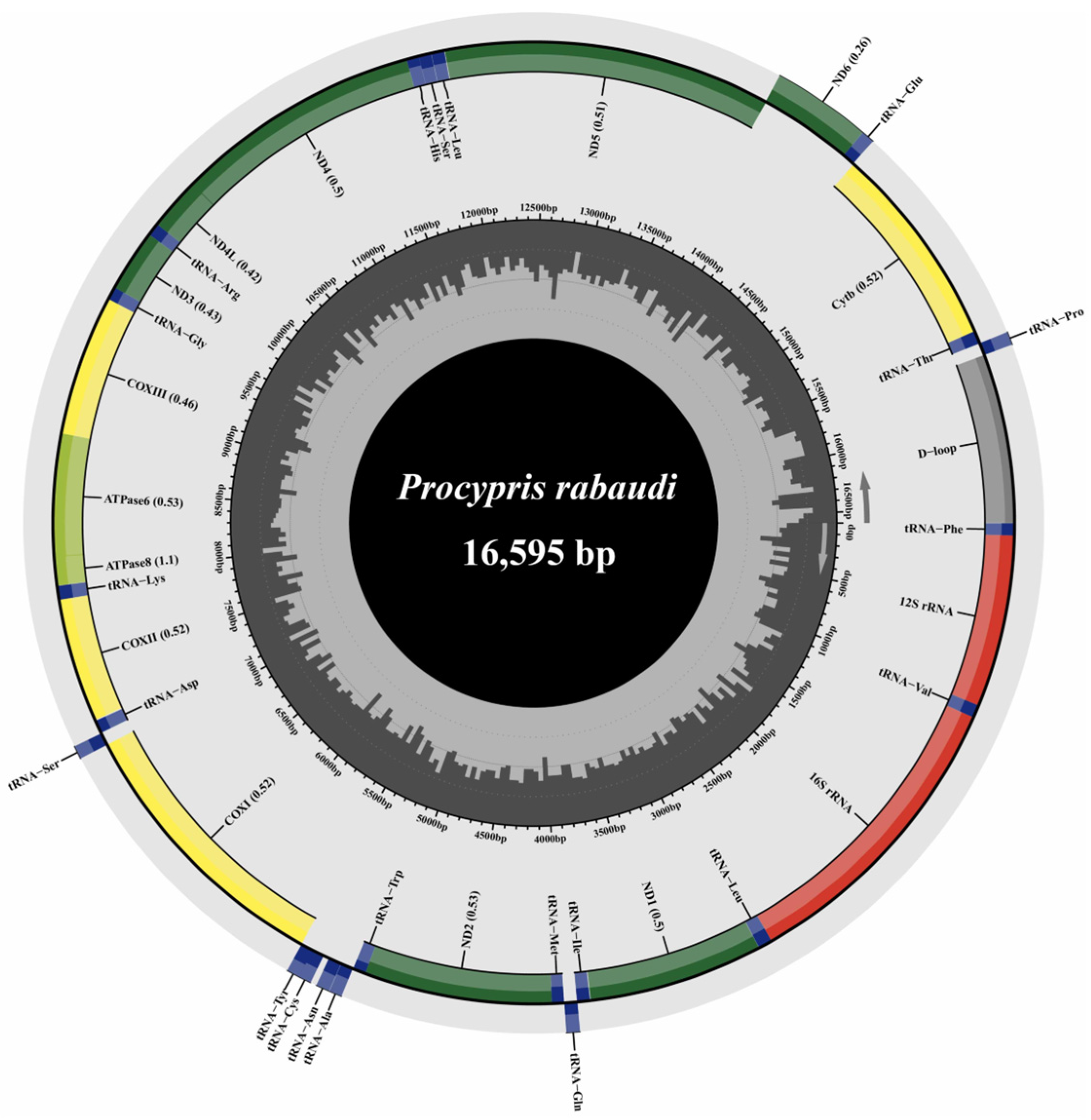 Animals 16 00246 g002 Animals 16 00246 g002