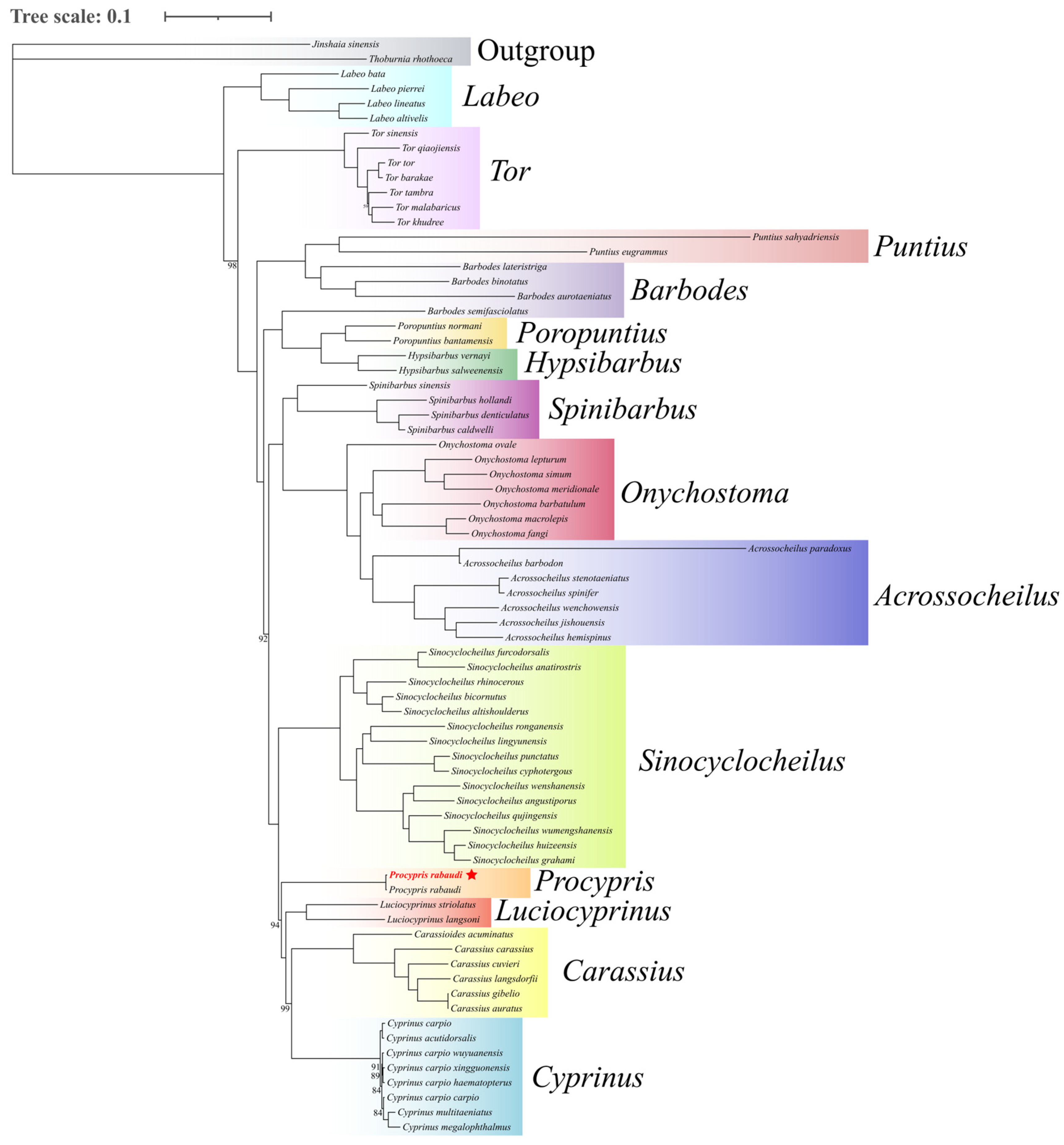 Animals 16 00246 g004 Animals 16 00246 g004