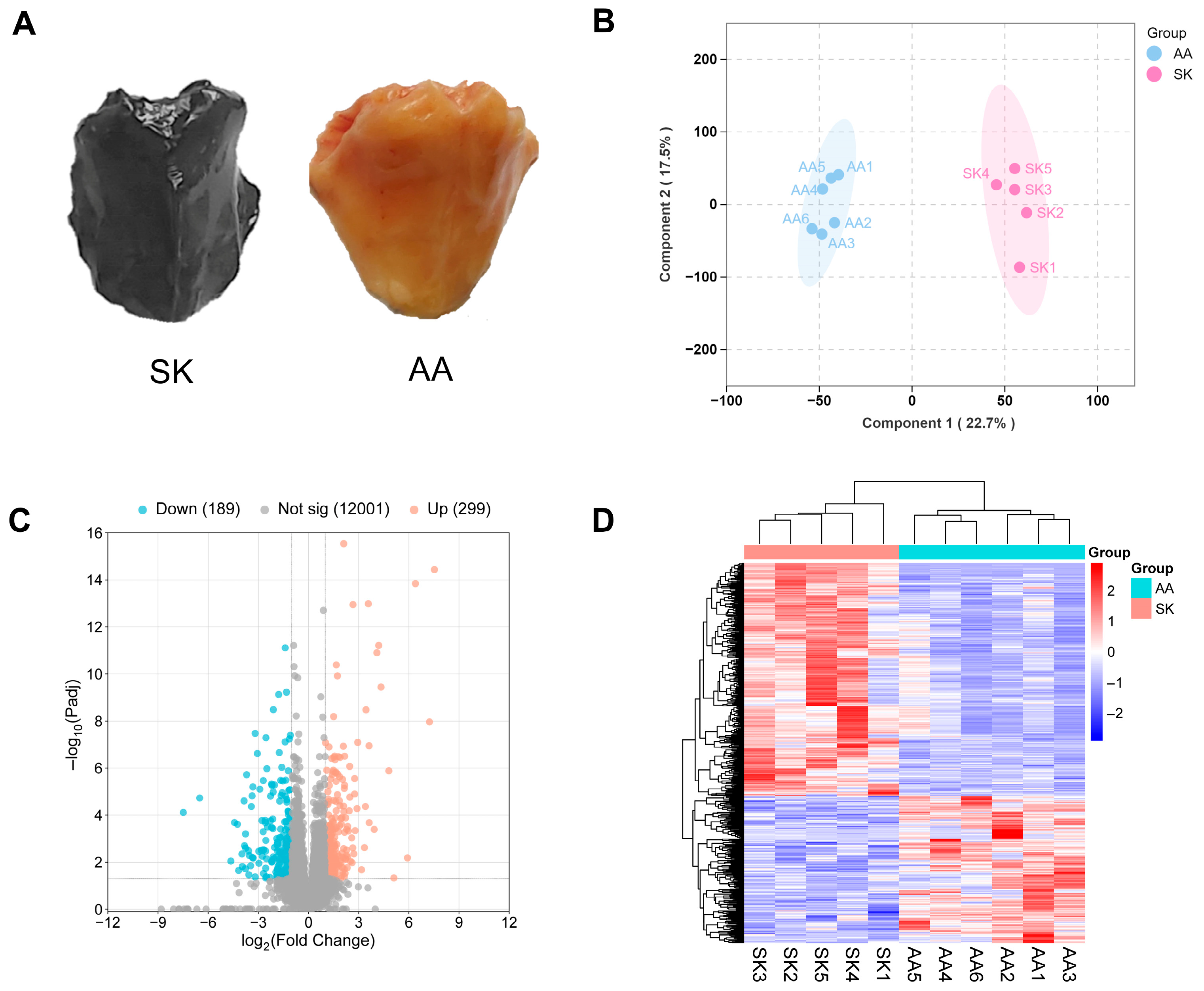 Animals 16 00252 g001