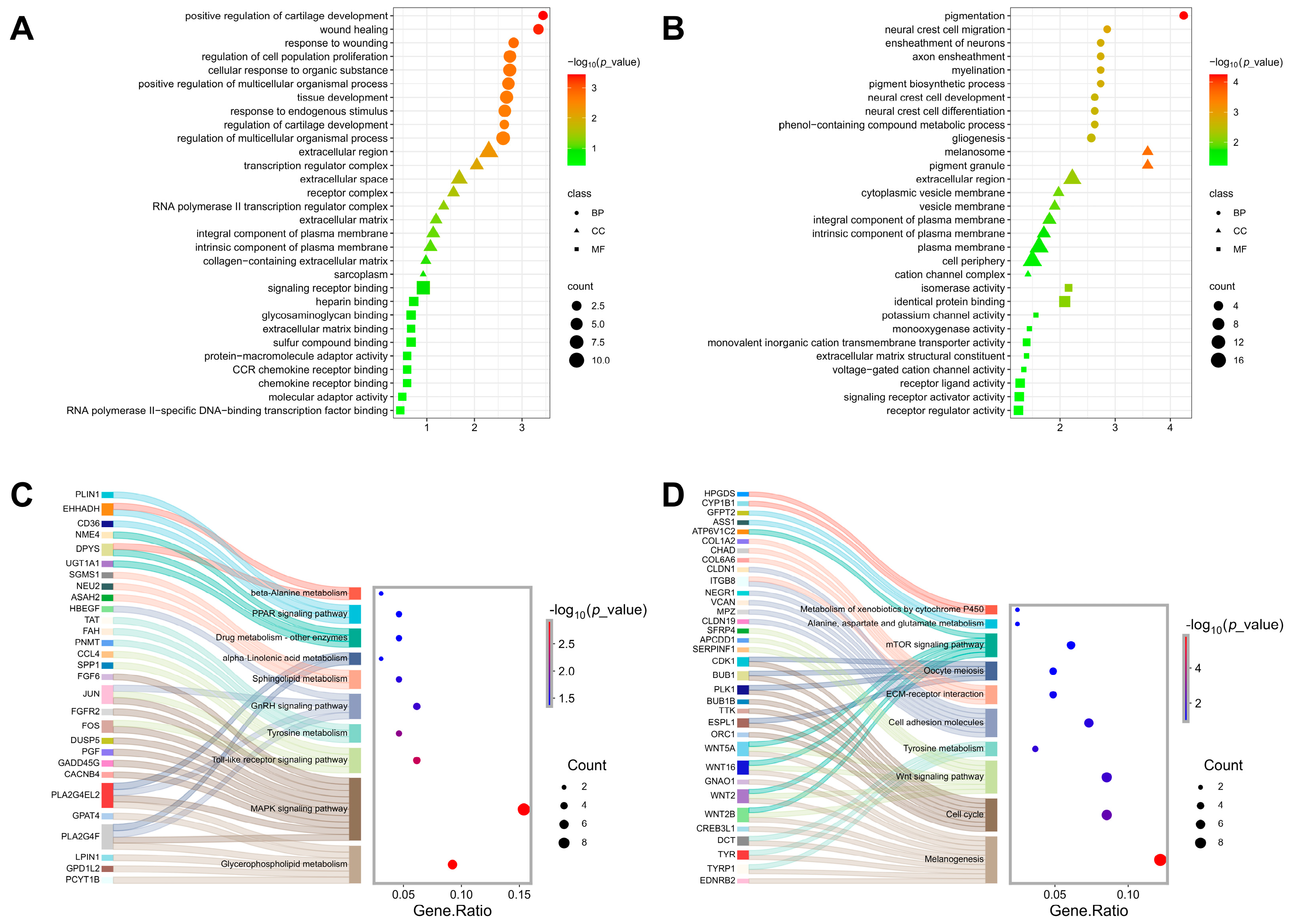 Animals 16 00252 g002