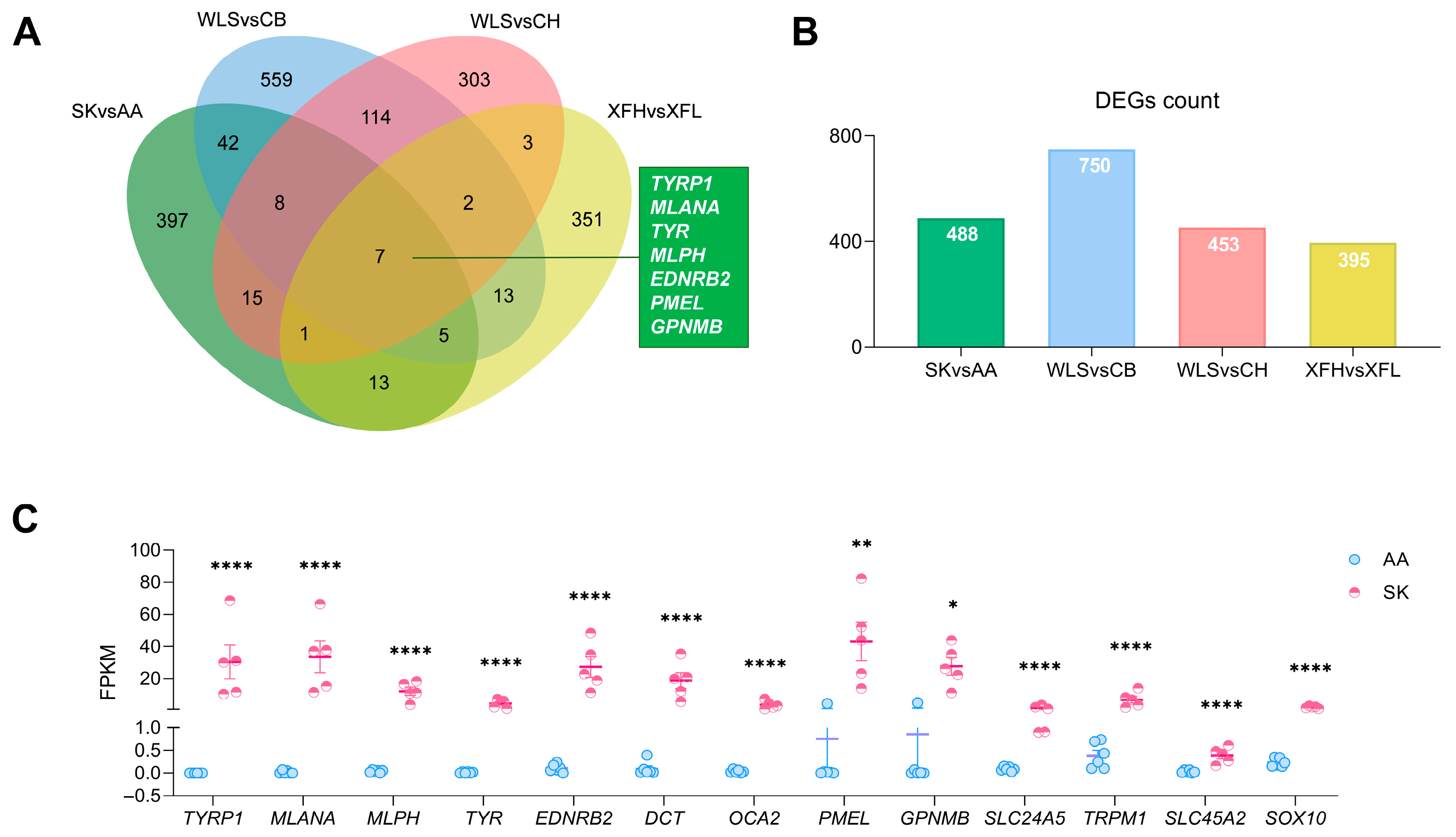 Animals 16 00252 g003