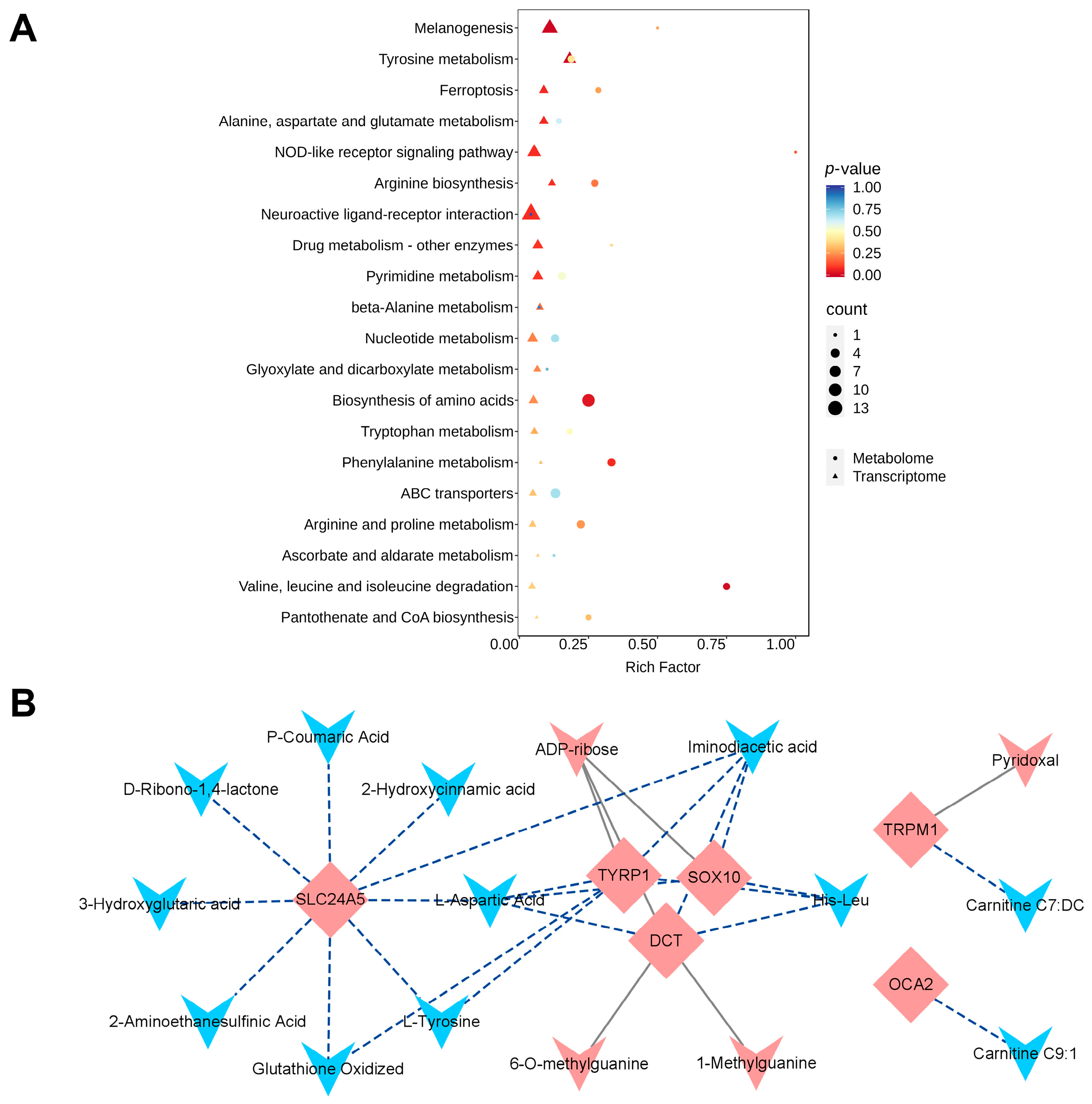 Animals 16 00252 g006