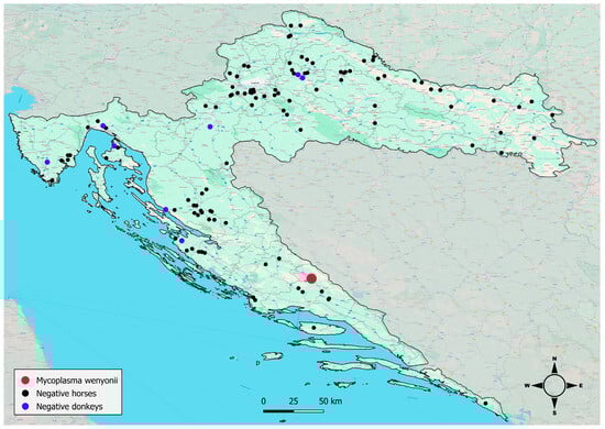 The map illustrates the sampling locations of horses and donkeys, providing an overview of the spatial distribution of samples and demonstrating coverage of all regions of Croatia. Dots represent sampling sites rather than individual animals.
