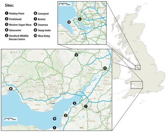 Sample collection locations (geographical locations of the 10 sample sites).