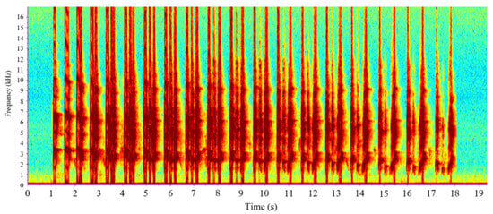 Type 1 vocalizations of the Chinese Bamboo Partridge (Bambusicola thoracicus).In the Spectrogram, the X-axis represents the time in seconds, and the Y-axis represents the frequency in kHz. The colors indicate the amplitude or power of corresponding time and frequency.