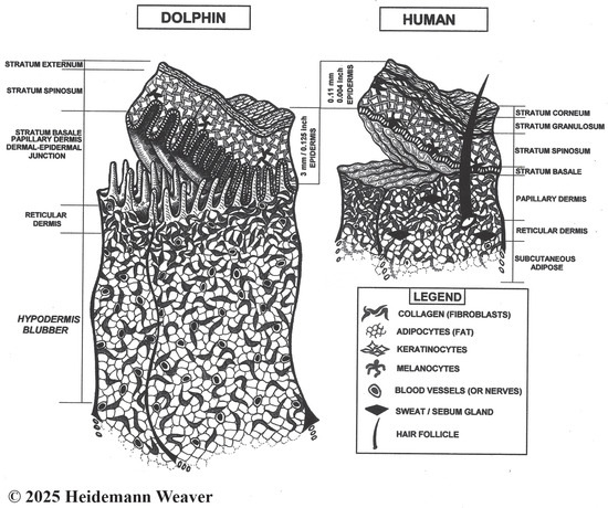 Animals 16 00305 g001