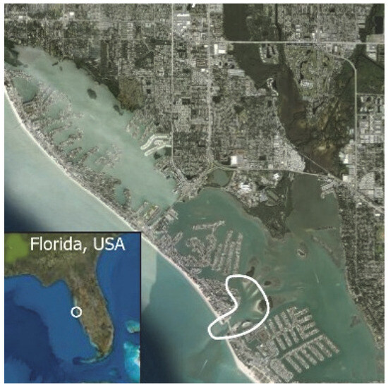 Animals 16 00305 g002