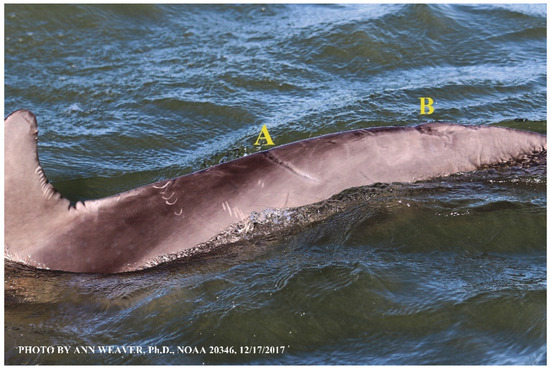 Animals 16 00305 g025