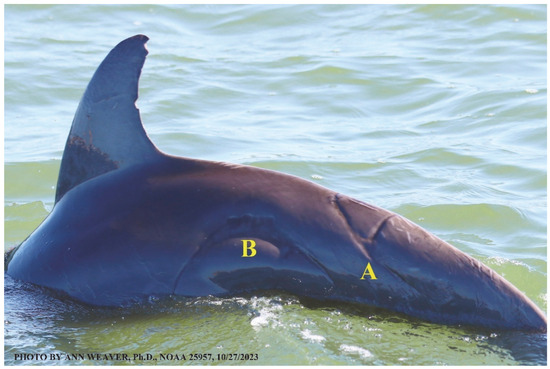 Animals 16 00305 g030