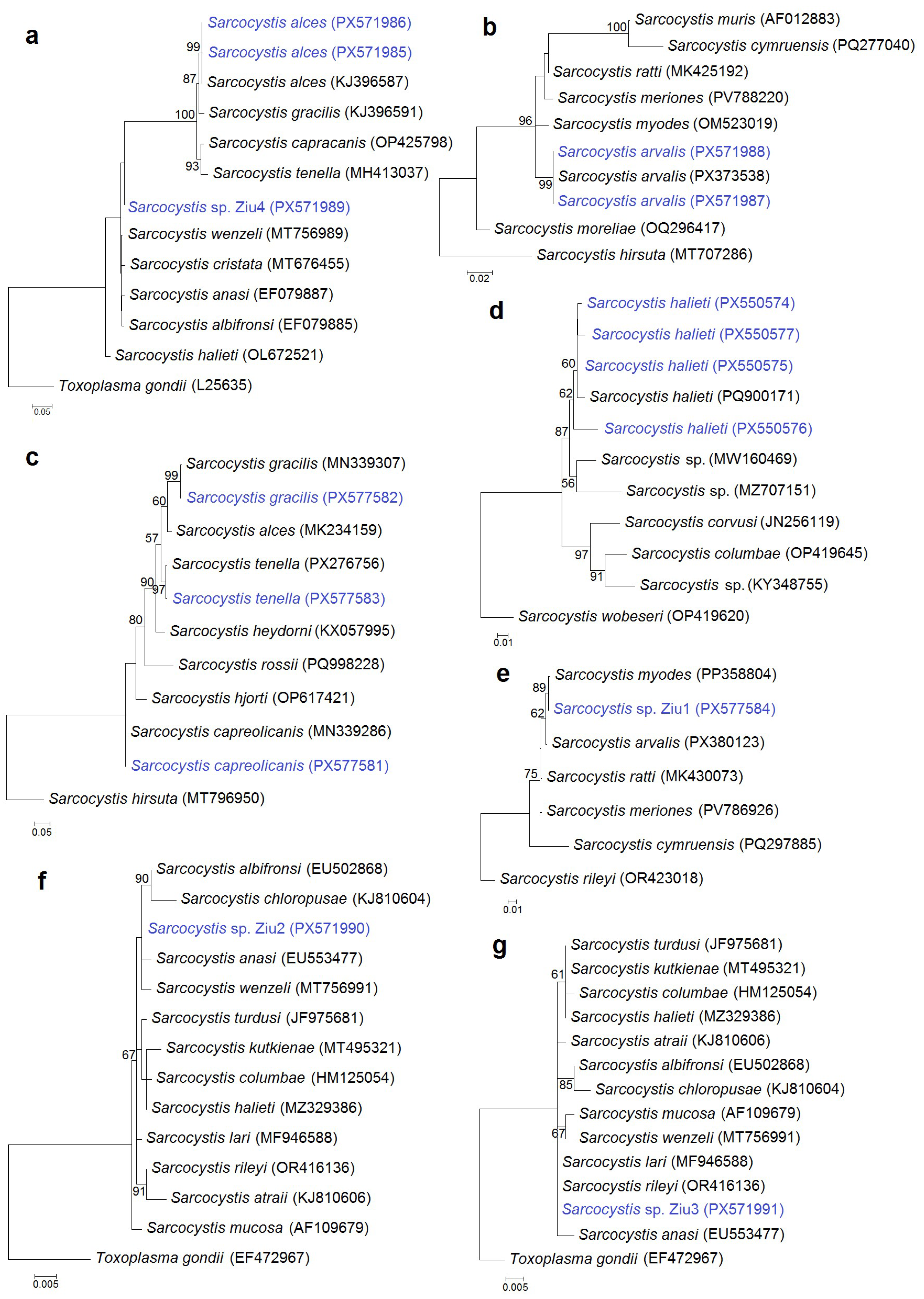 Animals 16 00331 g003