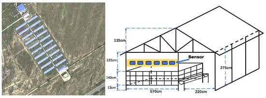 Satellite image of the pasture and regional structure of the sheep house.