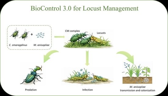 Bioassay of different concentrations of M. anisopliae on the third-instar L. migratoria manilensis. * indicates the significance of LT50/d value at p < 0.05 using Tukey’s HSD.