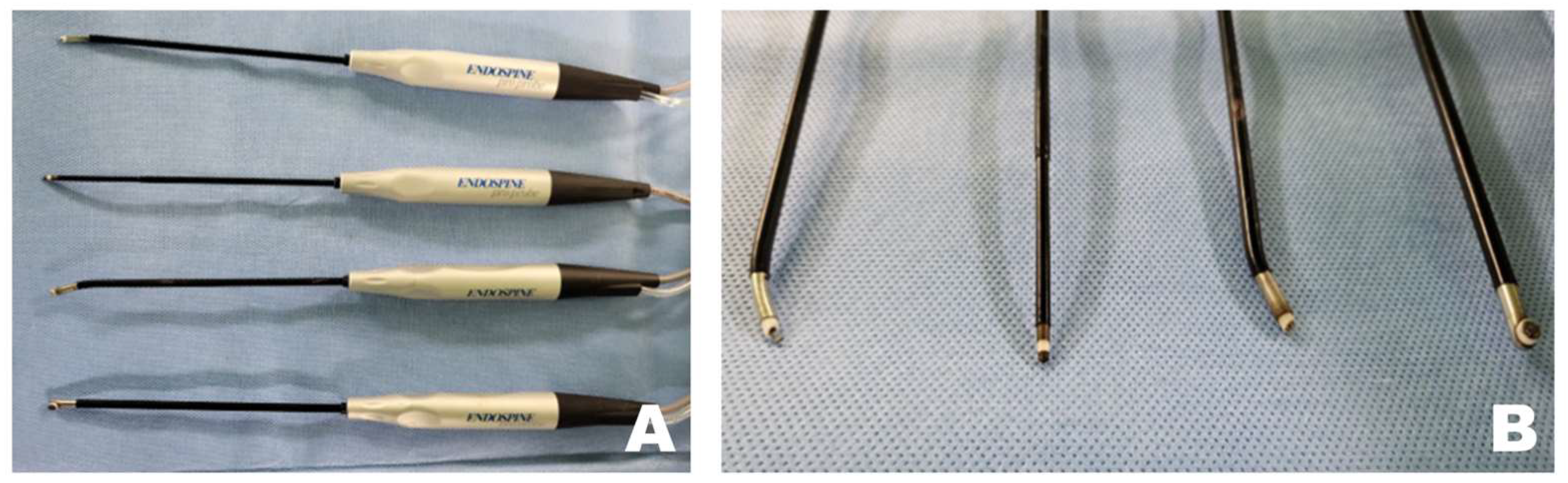 Animals 16 00435 g001