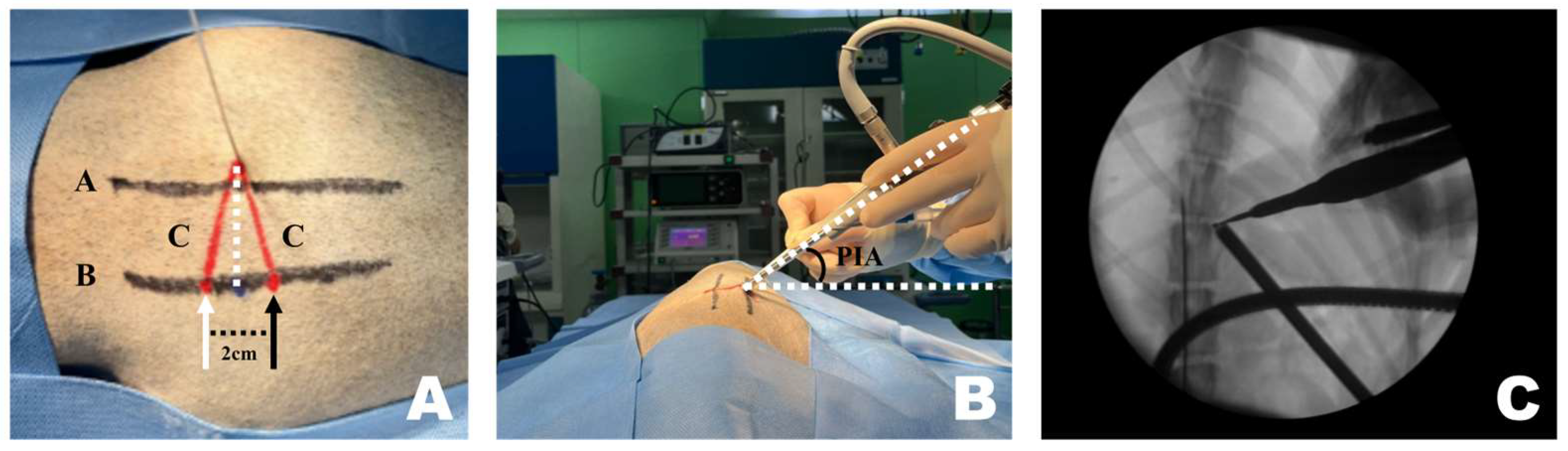 Animals 16 00435 g002